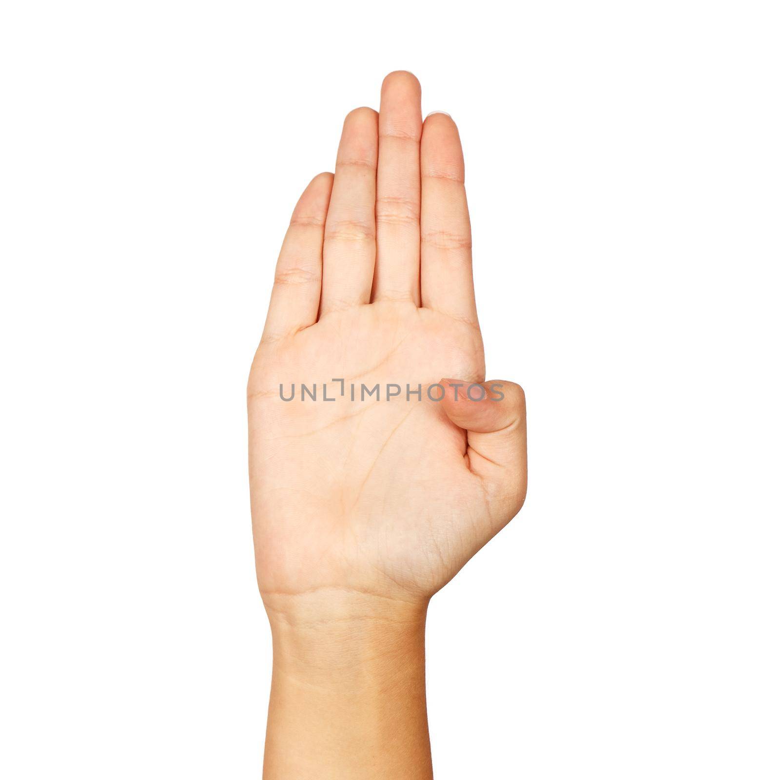 american sign language. female hand showing letter b by raddnatt