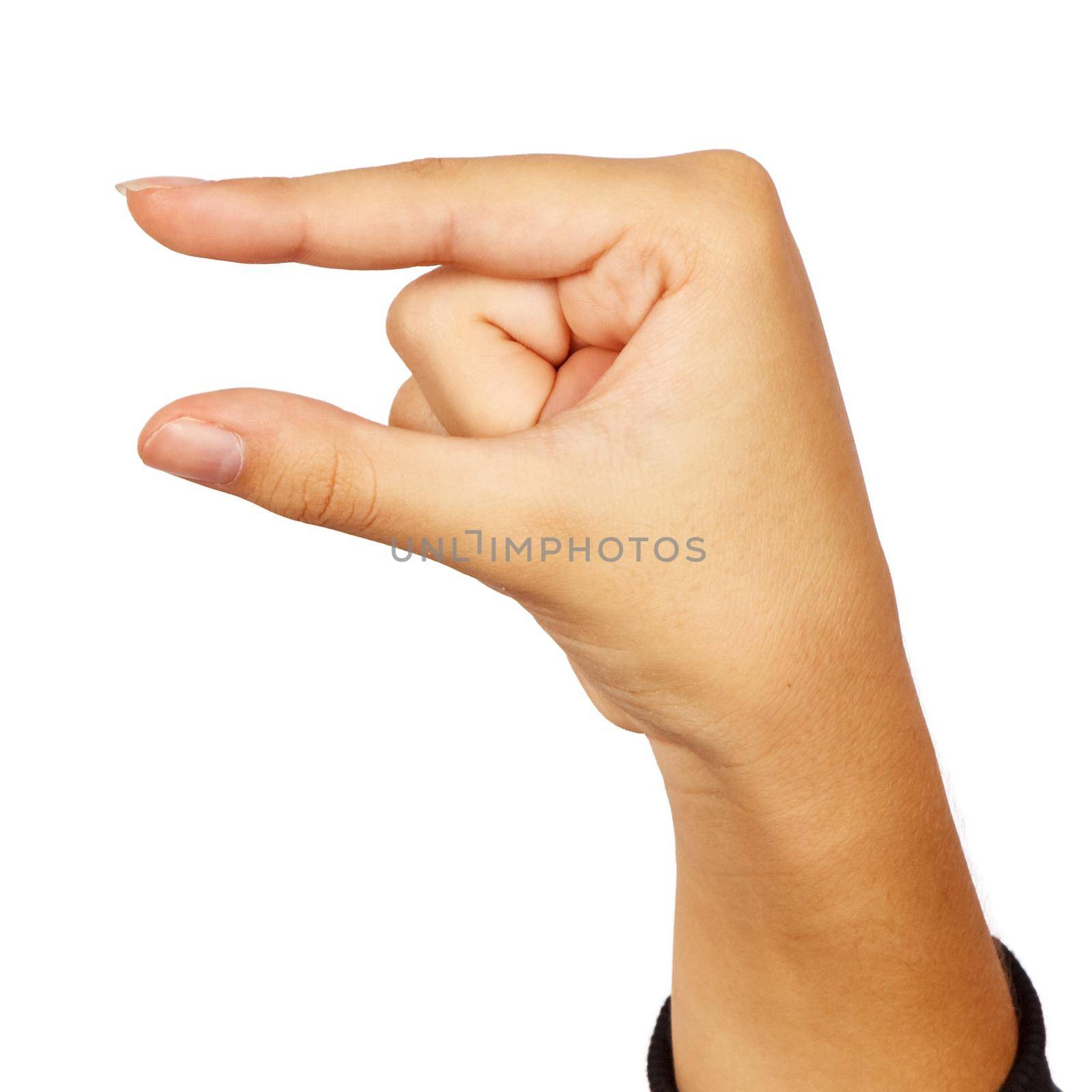 american sign language. female hand showing letter g by raddnatt