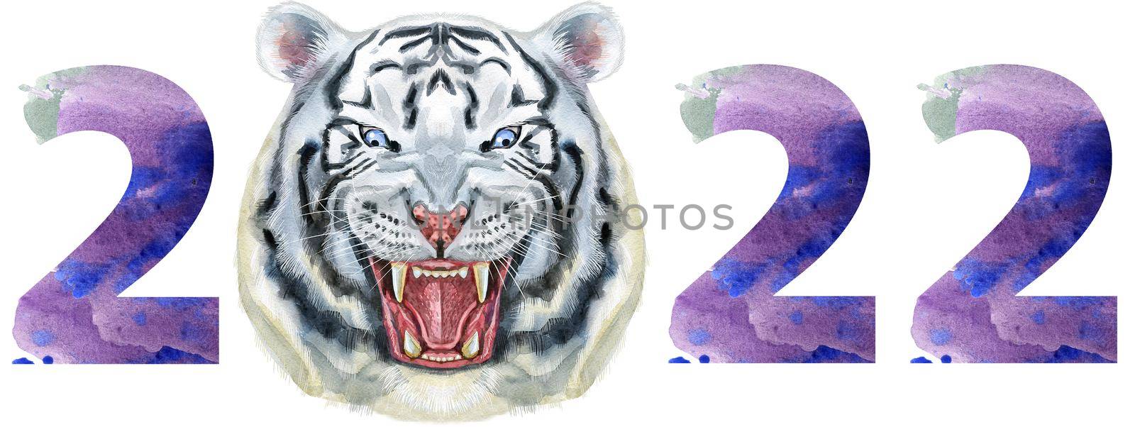 Watercolor illustration new year two thousand and twenty two with tiger head by NataOmsk