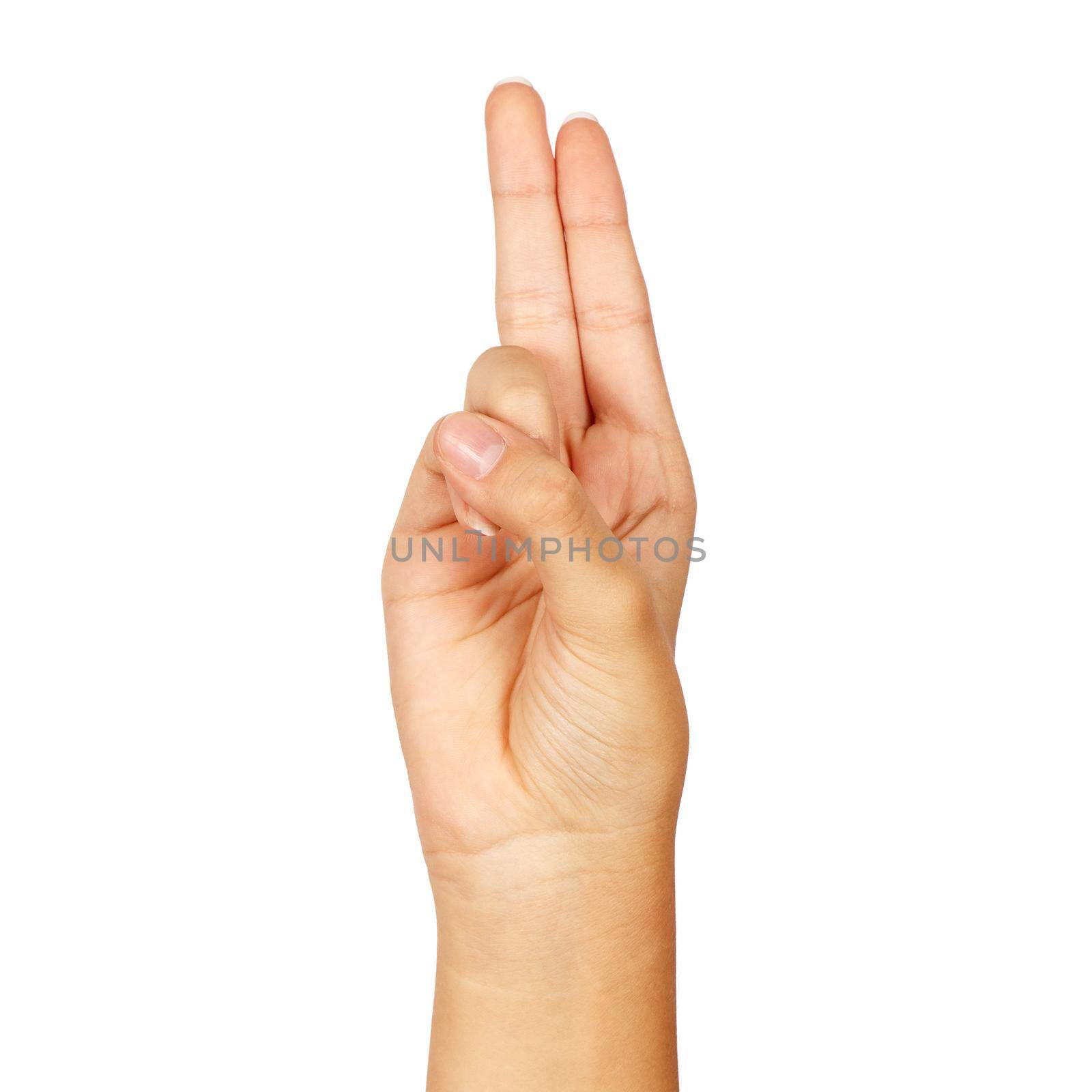 american sign language. female hand showing letter u. isolated on white background
