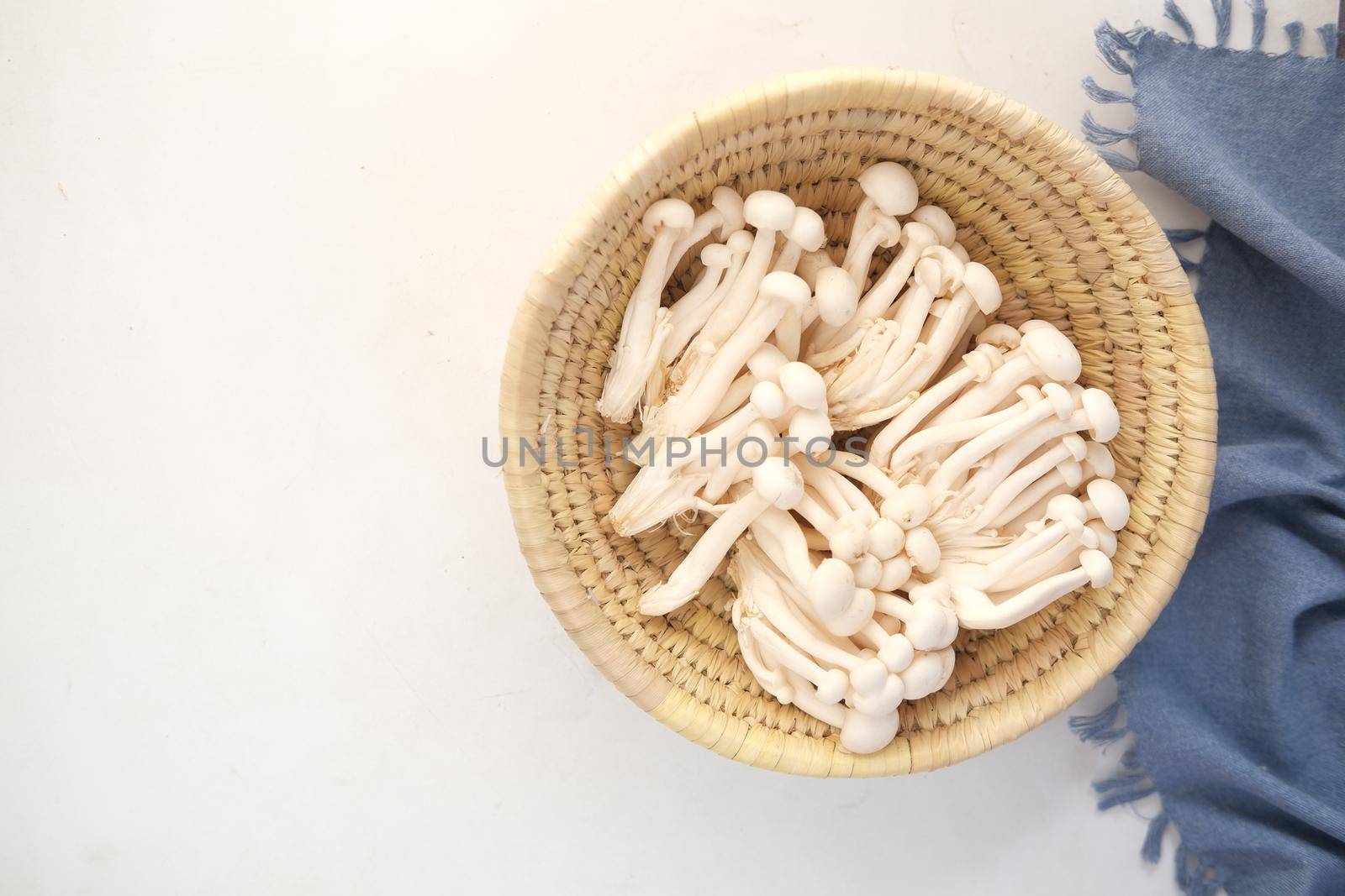 Shimeji mashroom in bowl on white background