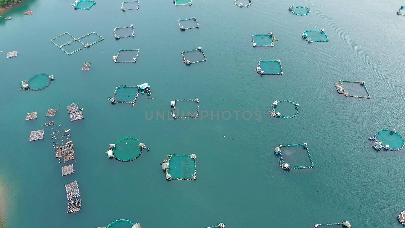 Aerial view of fish ponds for bangus, milkfish. Fish farm, top view. large scale traditional floating fish farms.