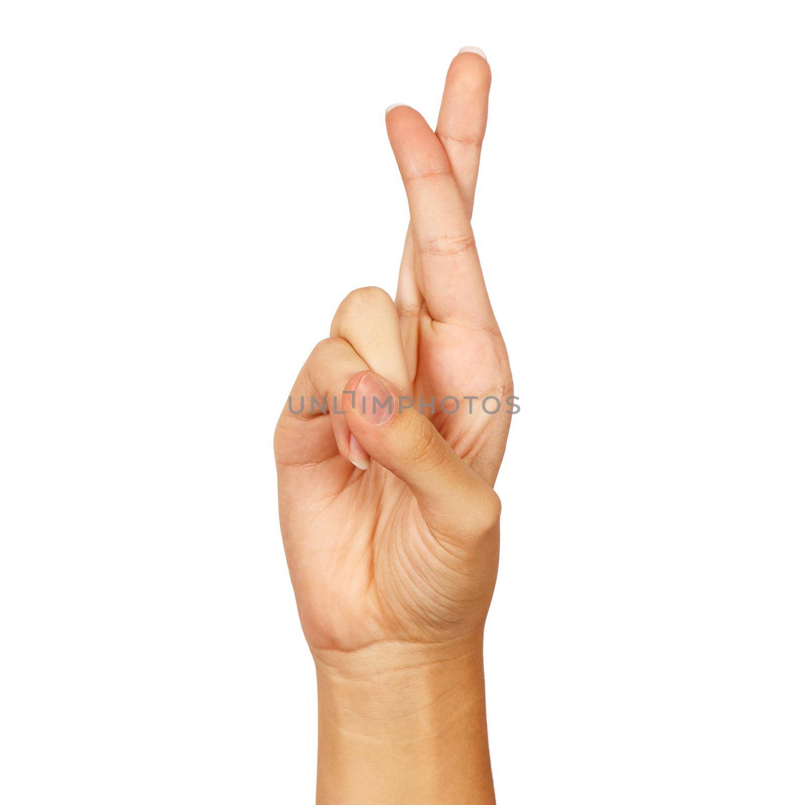 american sign language. female hand showing letter r by raddnatt