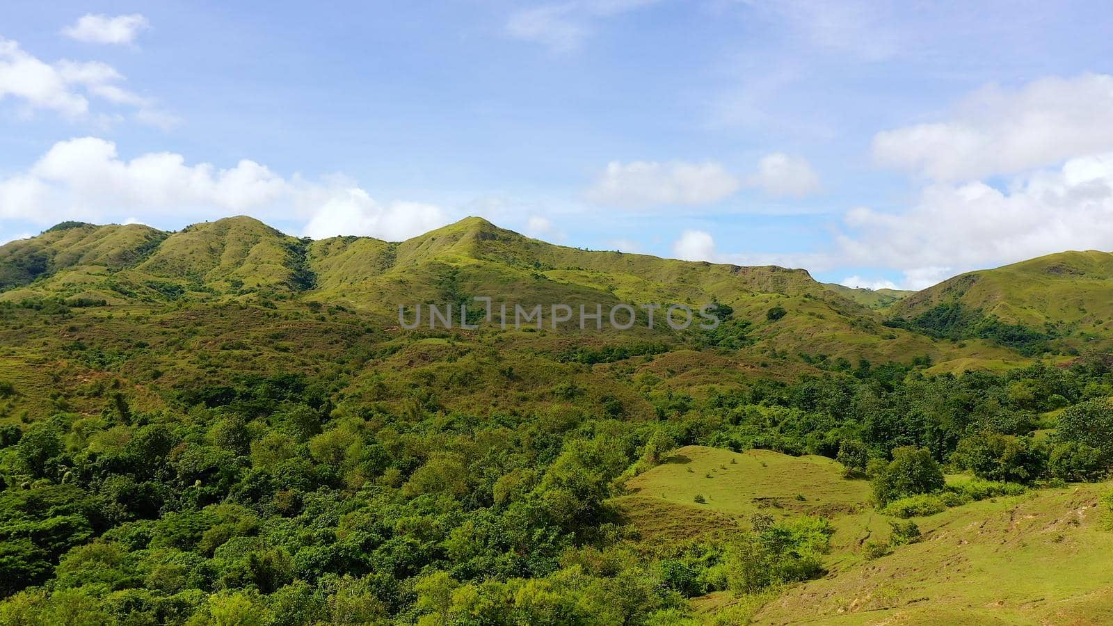 Hills with green grass and blue sky with white puffy clouds. Beautiful landscape on the island of Luzon, aerial view.