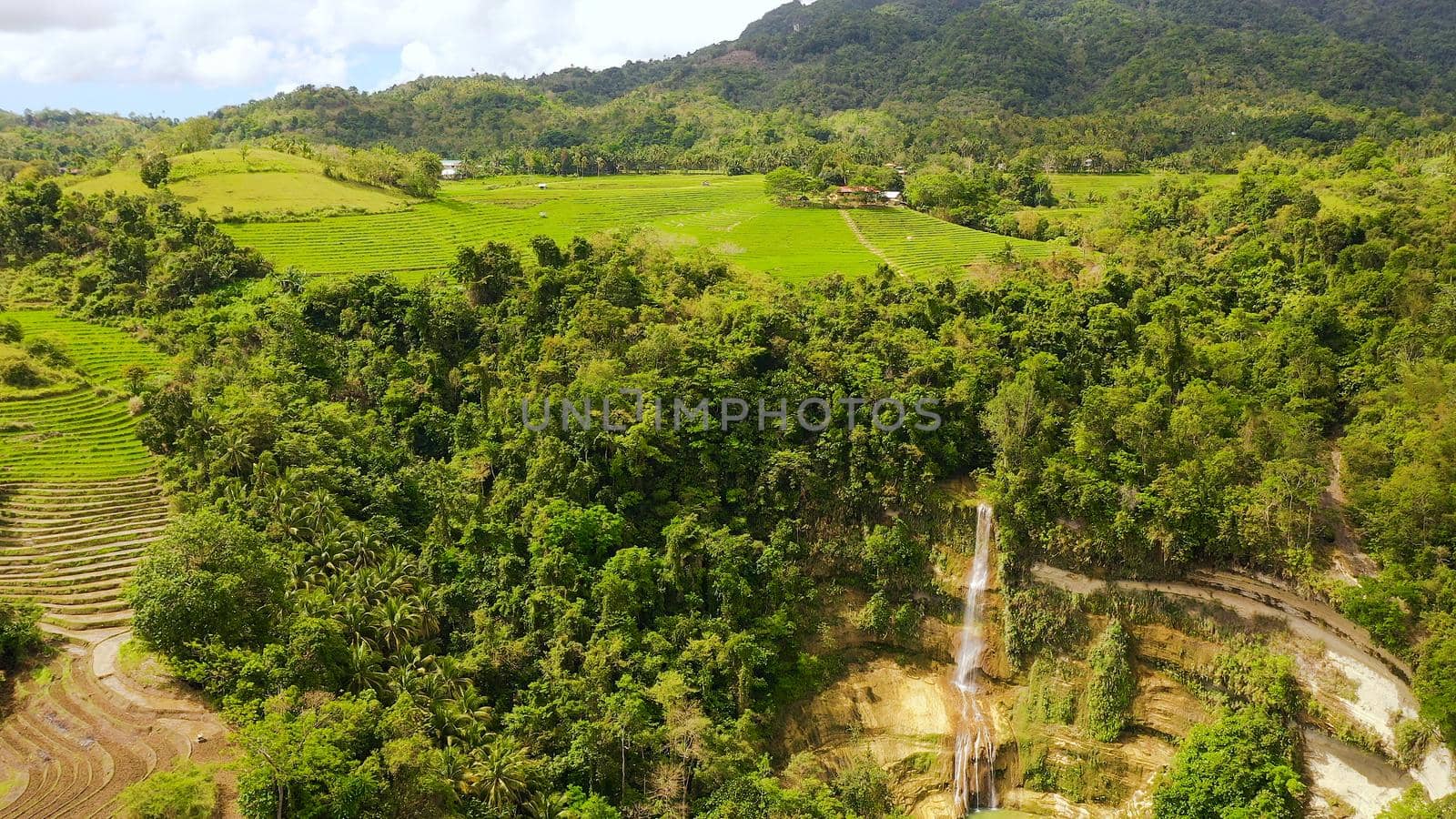 Tropical waterfall and rice terraces on the island of Bohol,Philippines.