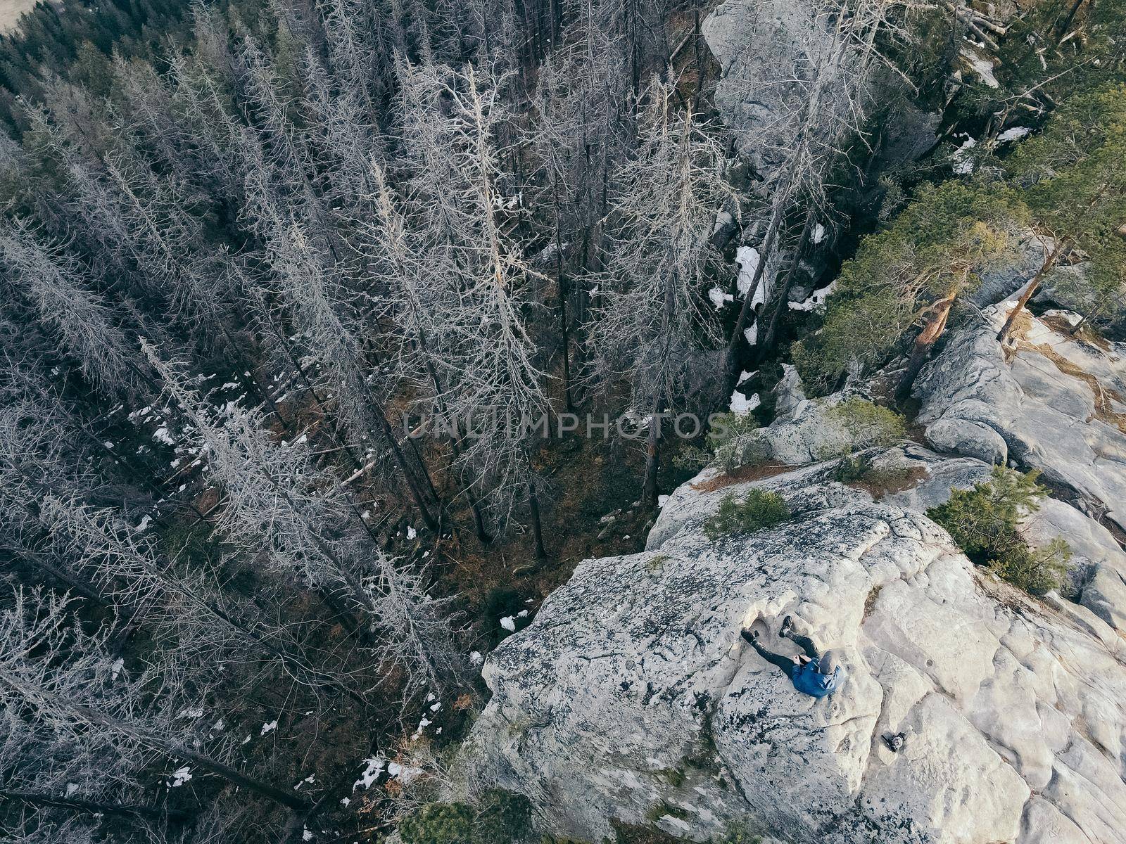 A tree with a mountain in the background. High quality photo