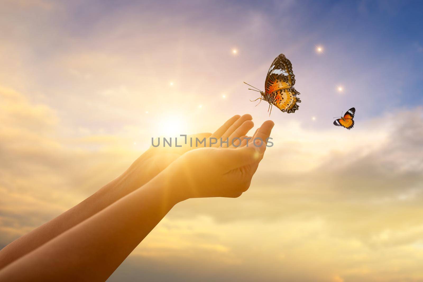 The girl frees the butterfly from  moment Concept of freedom by sarayut_thaneerat