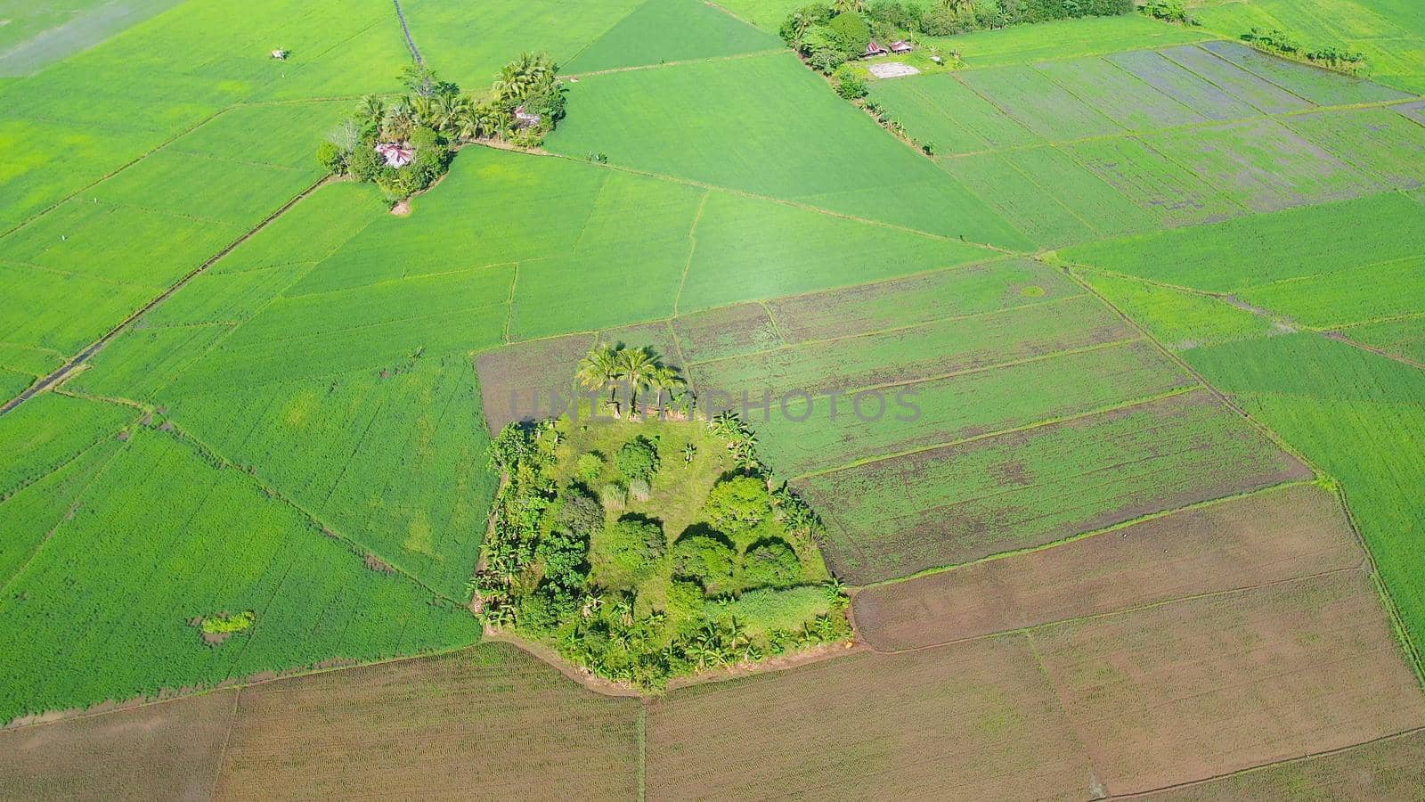 Aerial view of Landscape with farmland and rice fields. Philippines, Mindanao. Rice fields in Asia.