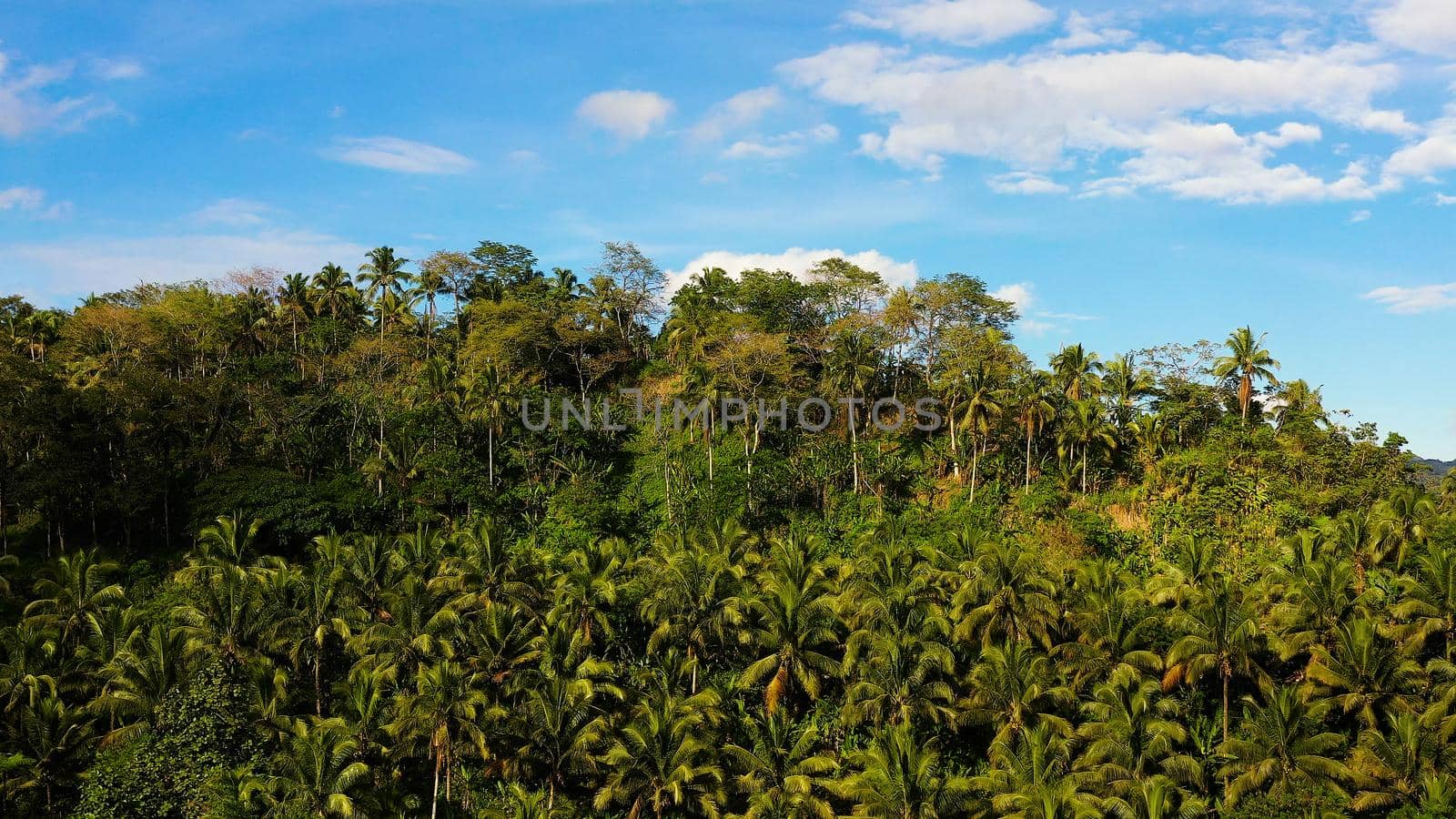 Beautiful mountain landscape with a jungle in sunny weather. Summer and travel vacation concept. clouds over the mountain peaks. Evergreen forest on a tropical island.
