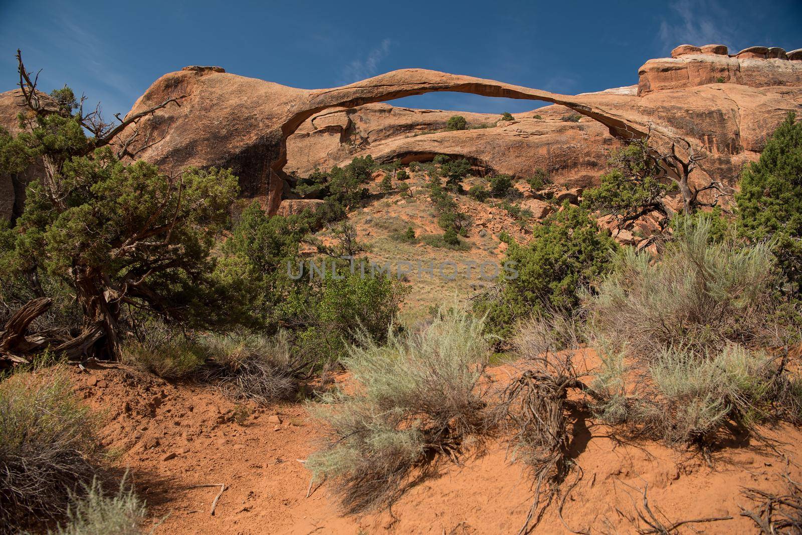 Double arch at Arches National Park