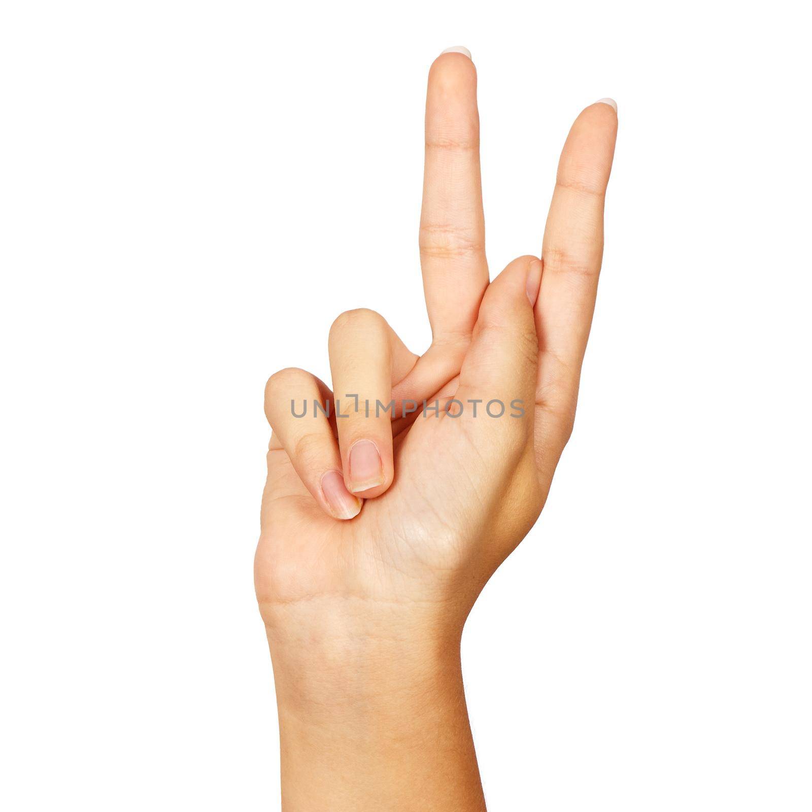 american sign language. female hand showing letter k. isolated on white background