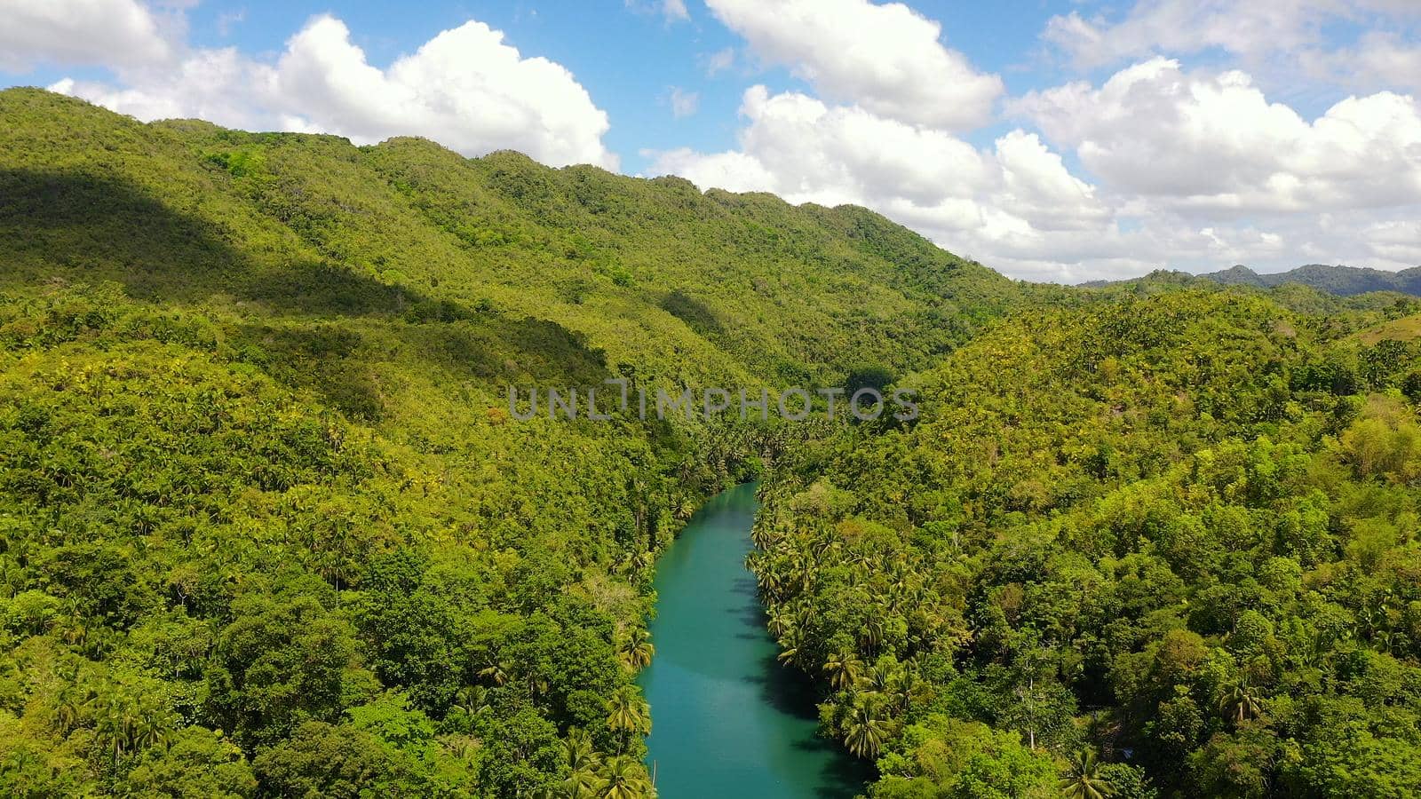 River in the rainforest in a mountain canyon. Loboc River in the green jungle. Bohol, Philippines.