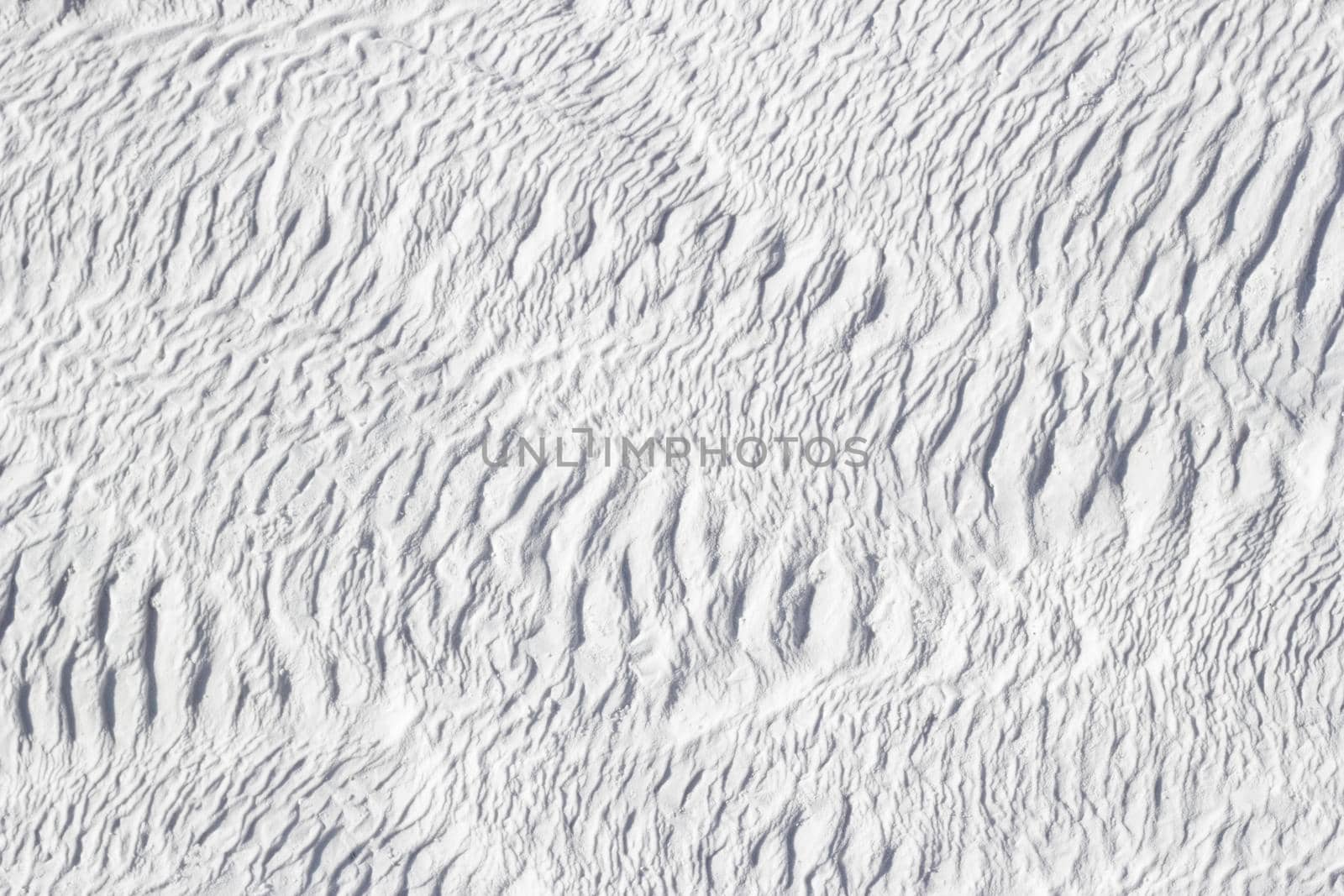 White texture calcium travertine, abstract pattern of the feathers. by Laguna781