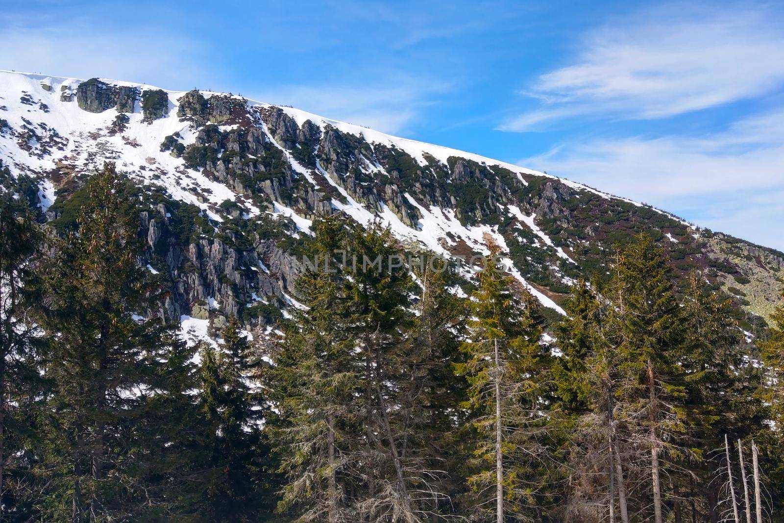 View of the mountainside with snow at the top