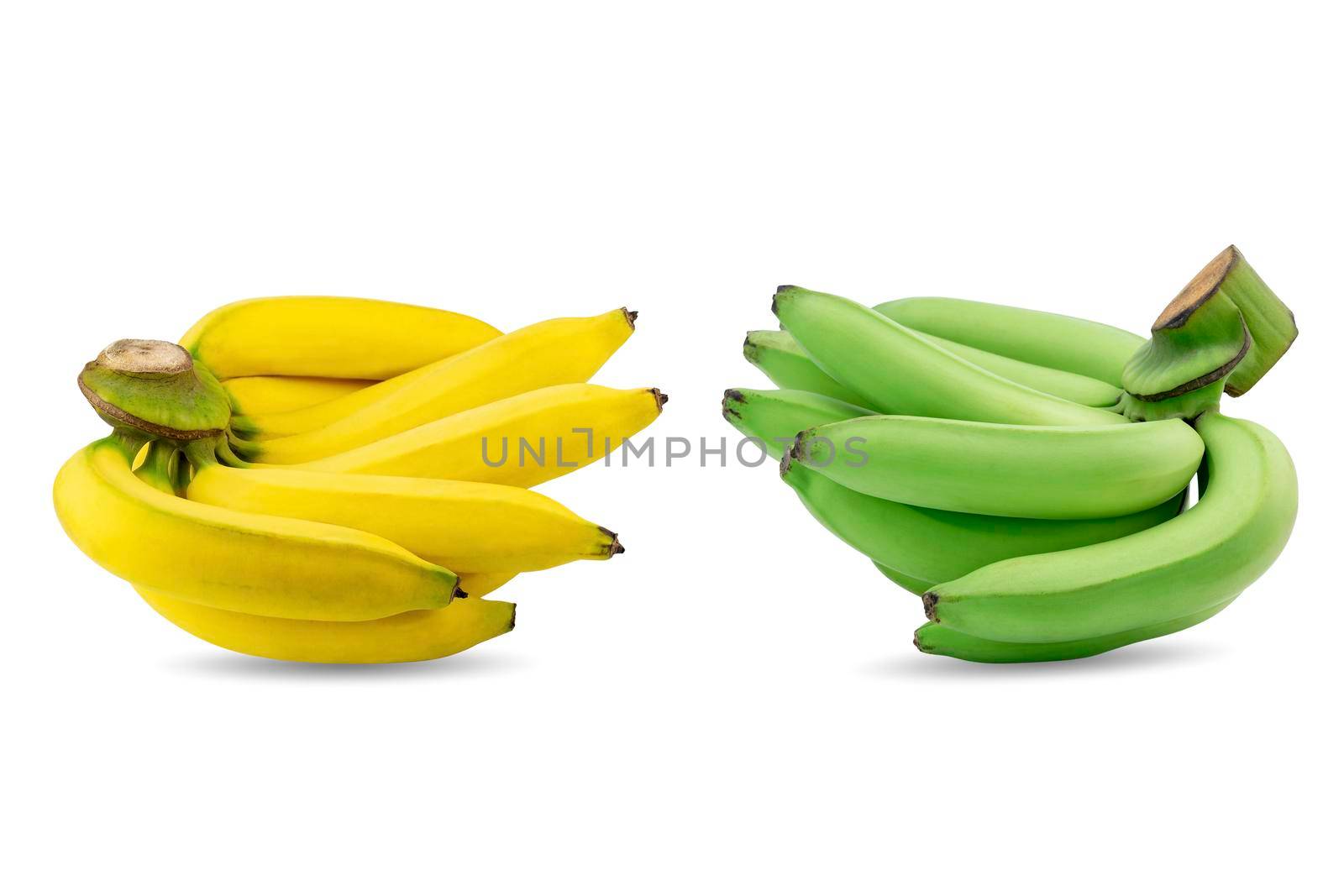 Group of green and yellow bananas in a same branch isolated on white background.