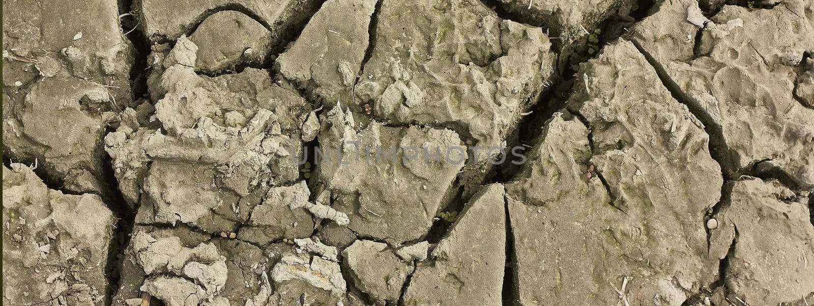 Cracks in the earth, banner image with copy space