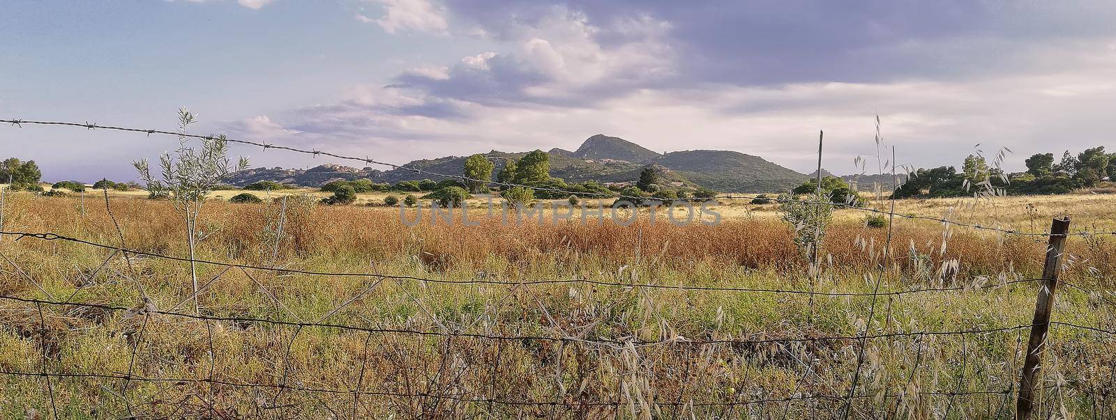 Sardinia country landscape by pippocarlot