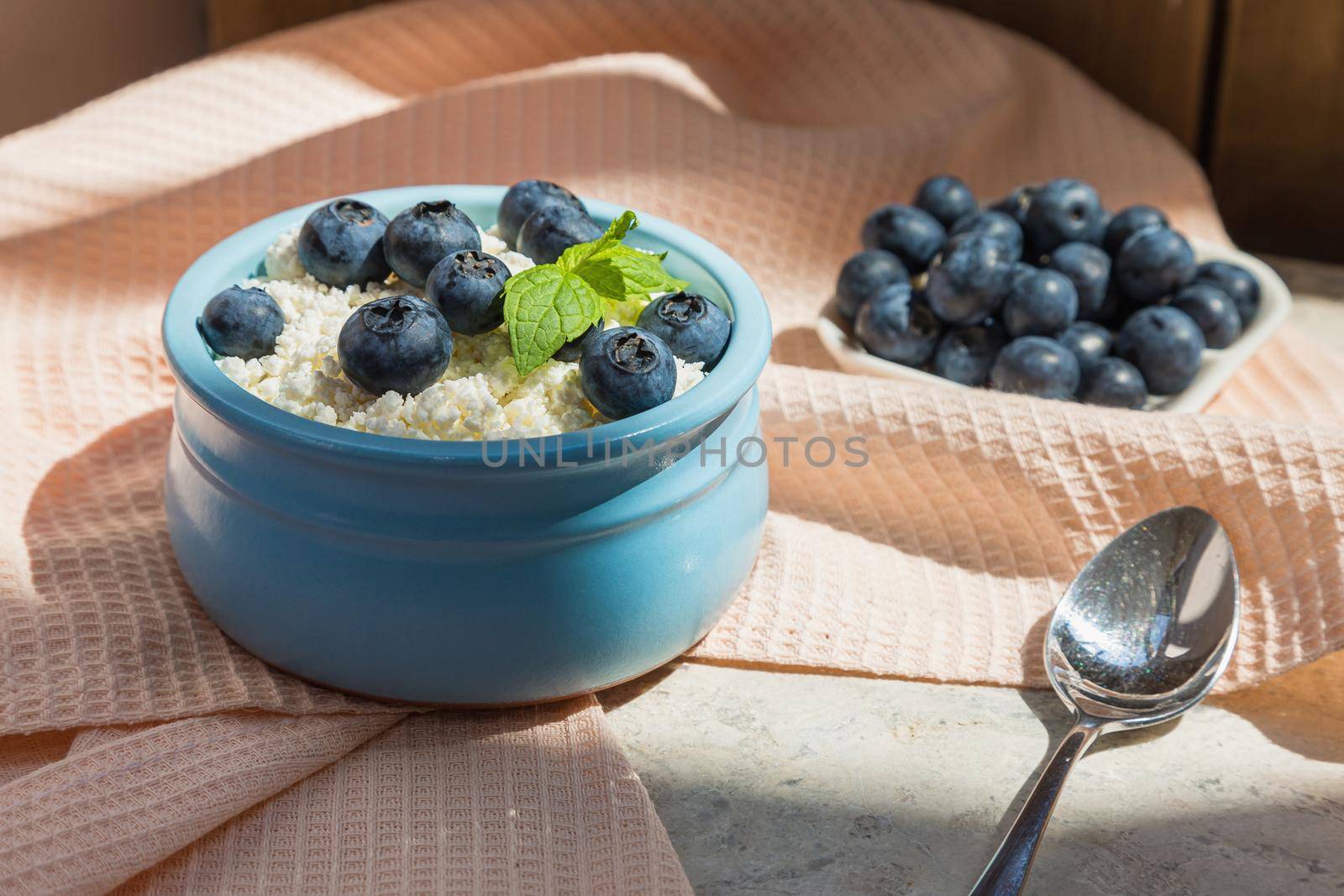 Morning fresh breakfast made from natural products from cottage cheese and blueberries. Nutritious cottage cheese and berries contain healthy vitamins. Pink background.