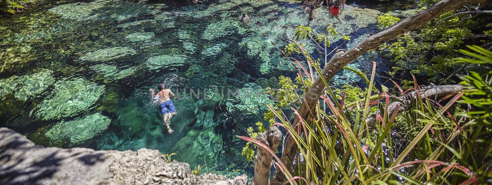 Mexican cenote detail banner image with copy space