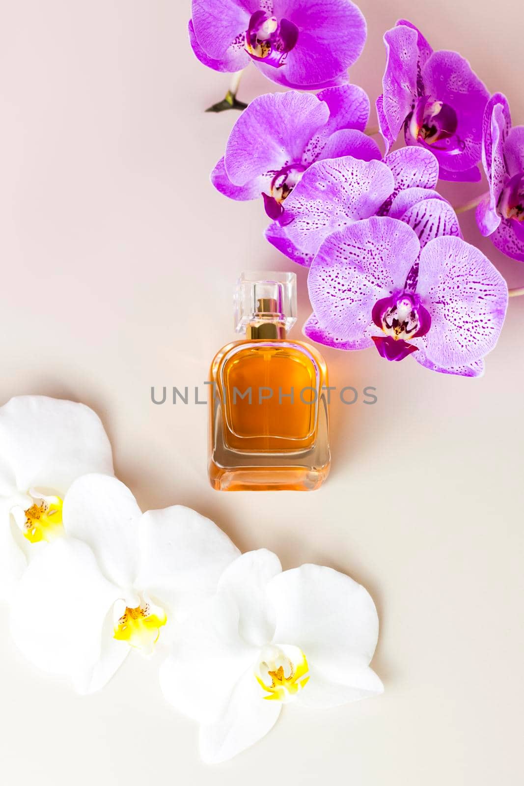 A perfume bottle on a pink background around beautiful orchid flowers. Stylish appearance, layout, personality. Banner, a place for the text. The concept of cosmetics for care.