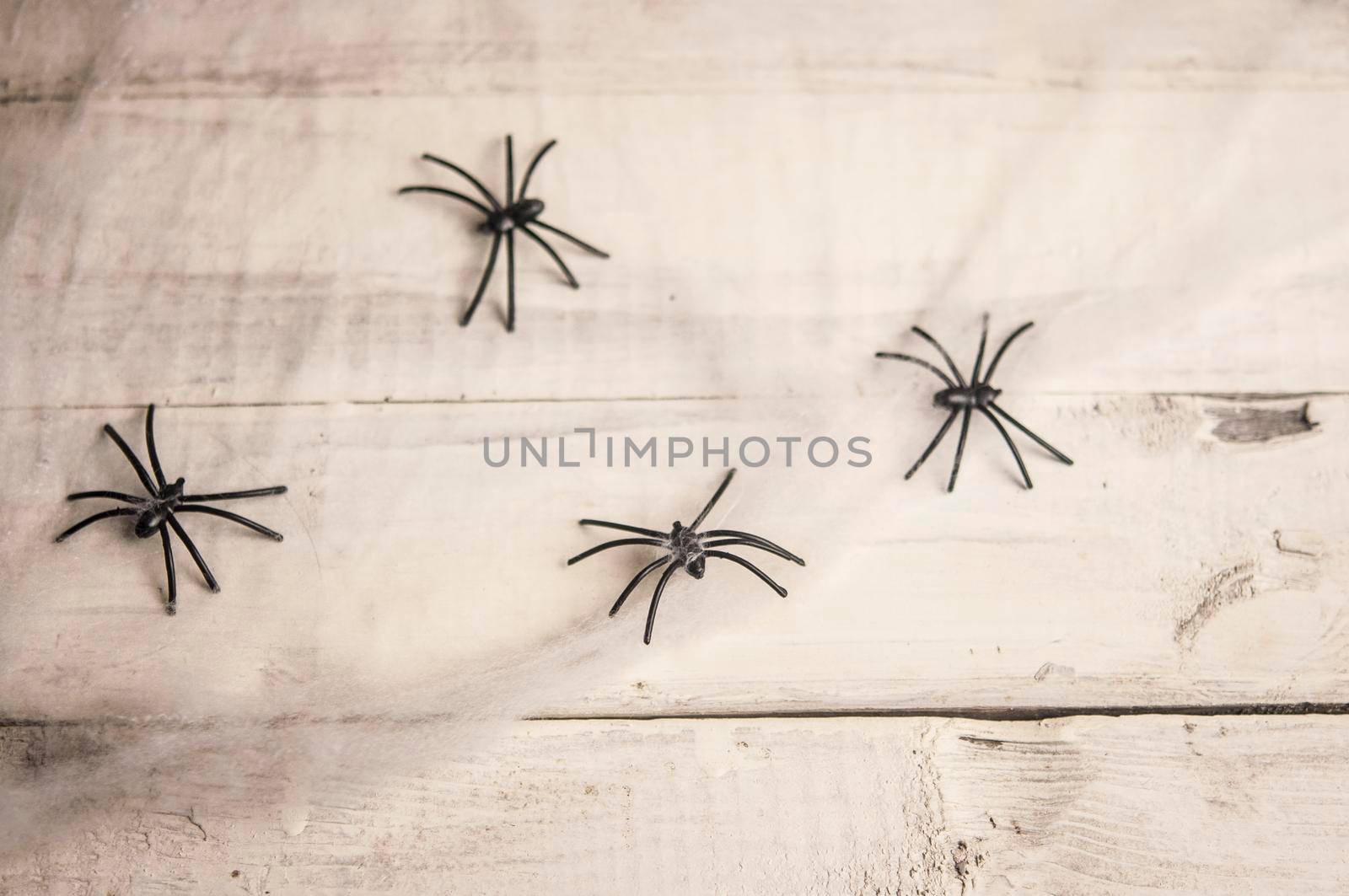 Halloween symbols web and black spiders on wooden background by inxti