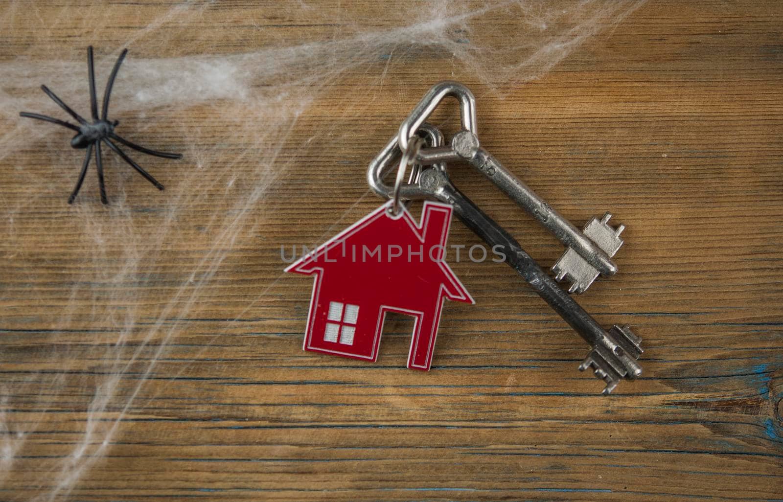 House symbol with silver keys, spider web and black spiders on a wood table. Top view