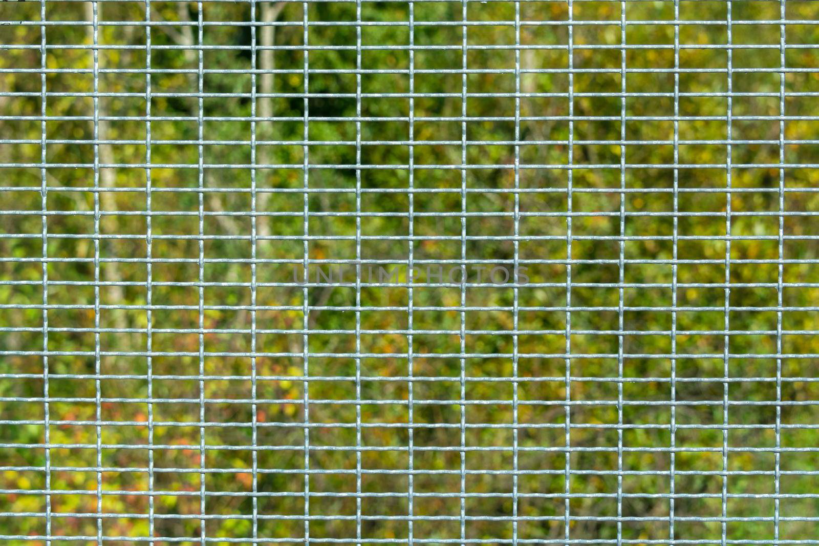 Metal grid texture on green foliage background.