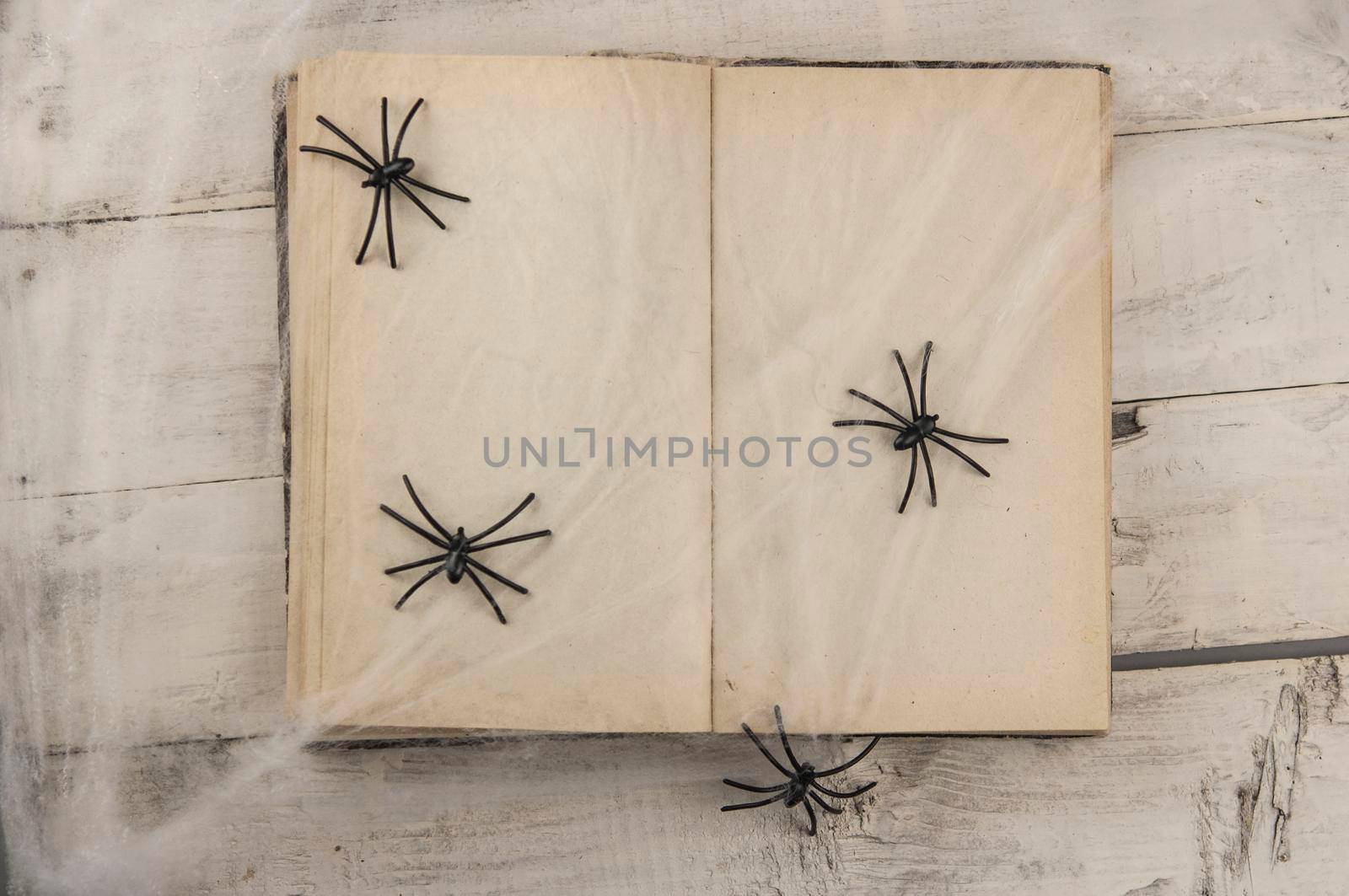old book a top among web spiders by inxti