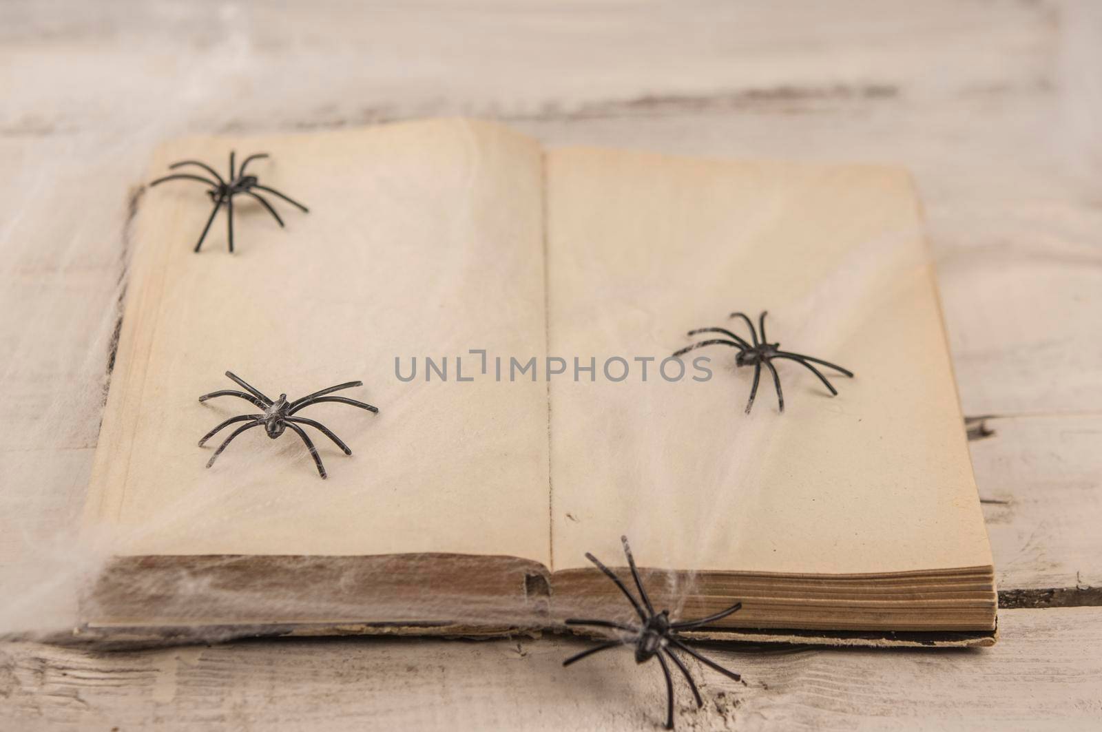 old book a top among web spiders by inxti