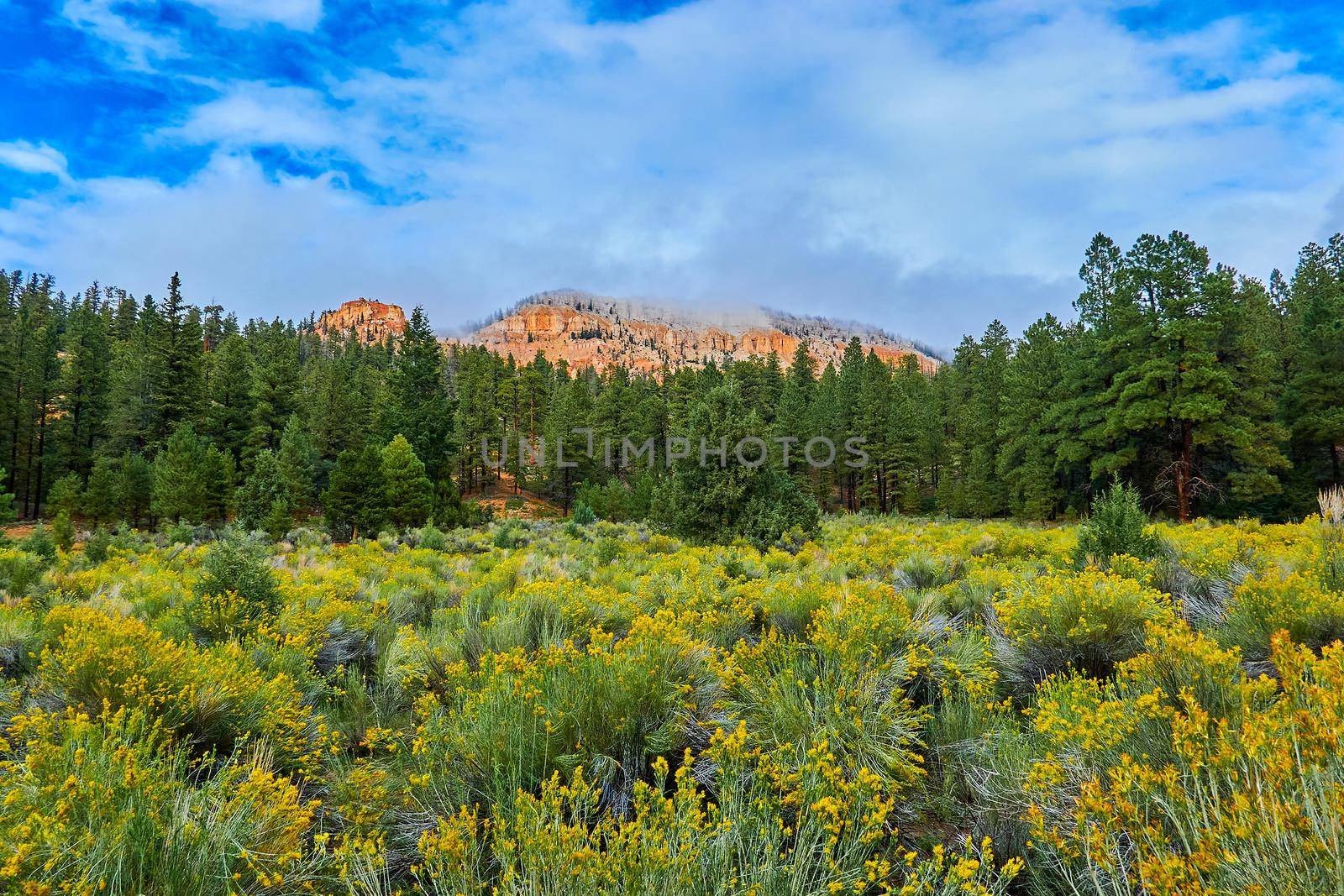 Sandstone Cliffs with clouds near Pine Lake Campground, UT by patrickstock