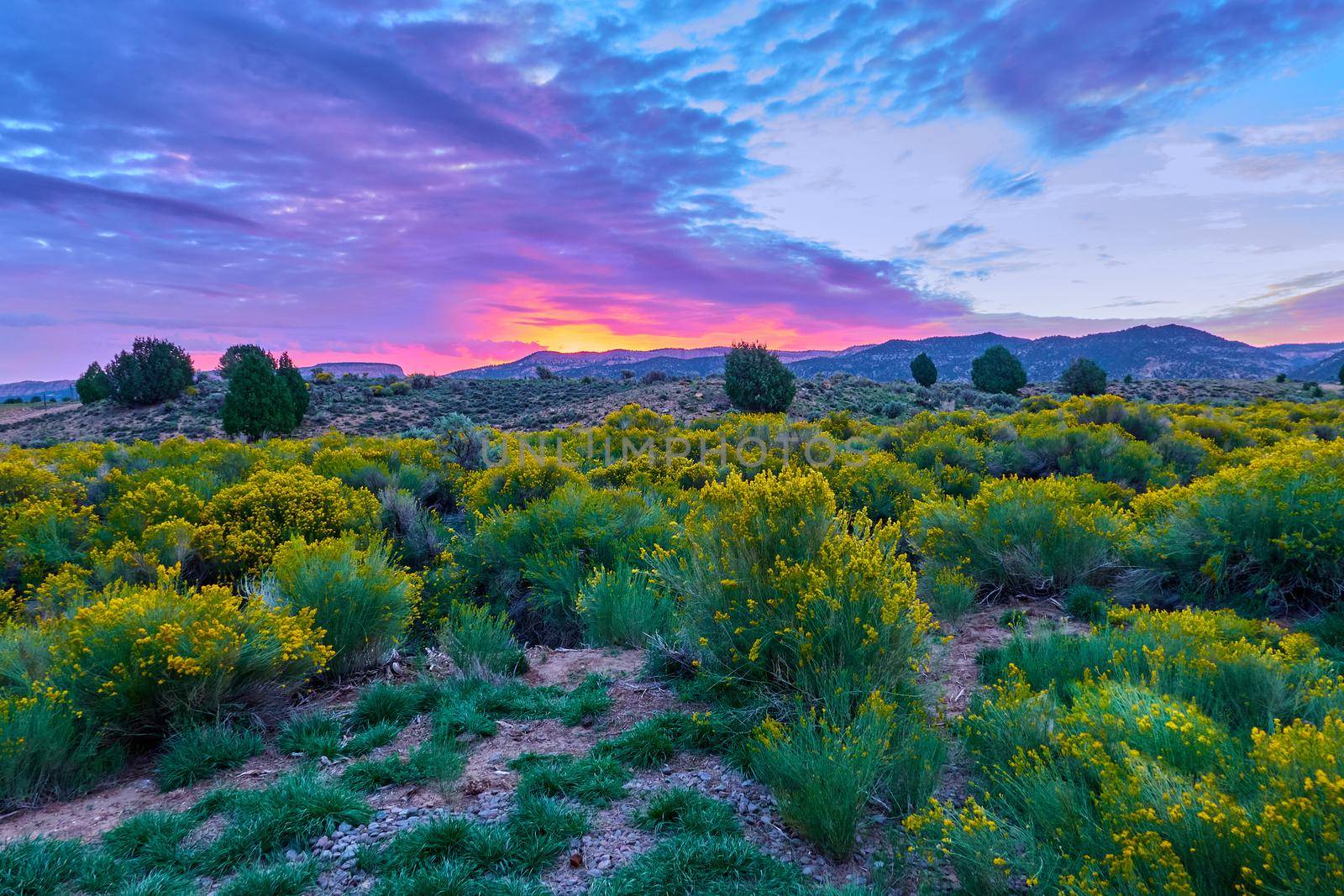 Sunset over Mammoth Ridge in the Dixie National Forest near Hatch, UT. by patrickstock