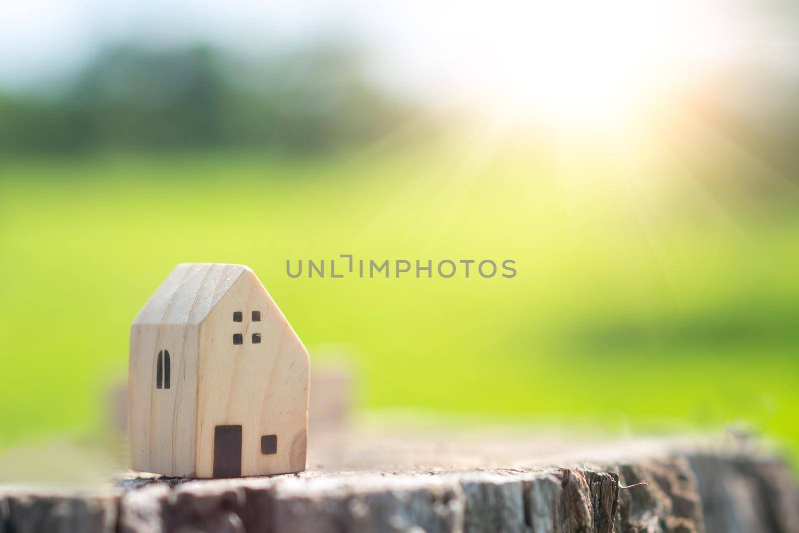 Model of a miniature house on a gold coin with a white copyspace background. Investing in real estate as a business is a great way to save money. by Suwant