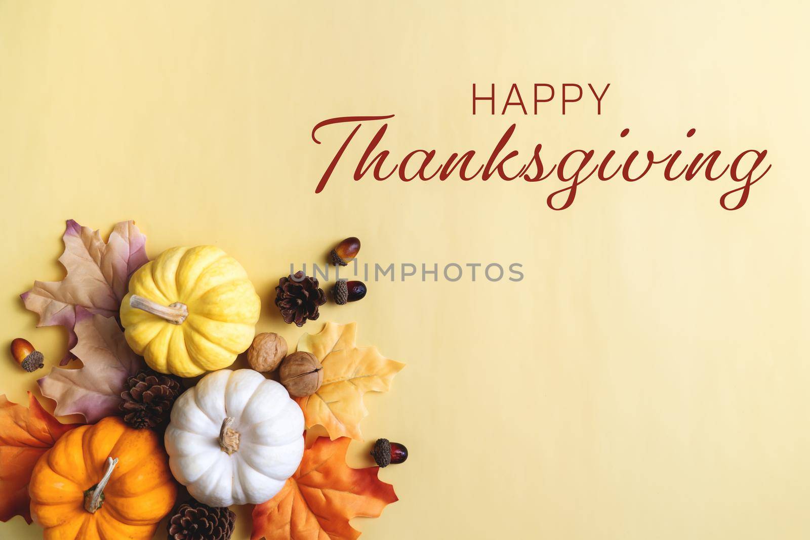 Happy Thanksgiving Day with pumpkin and nut on yellow background by psodaz