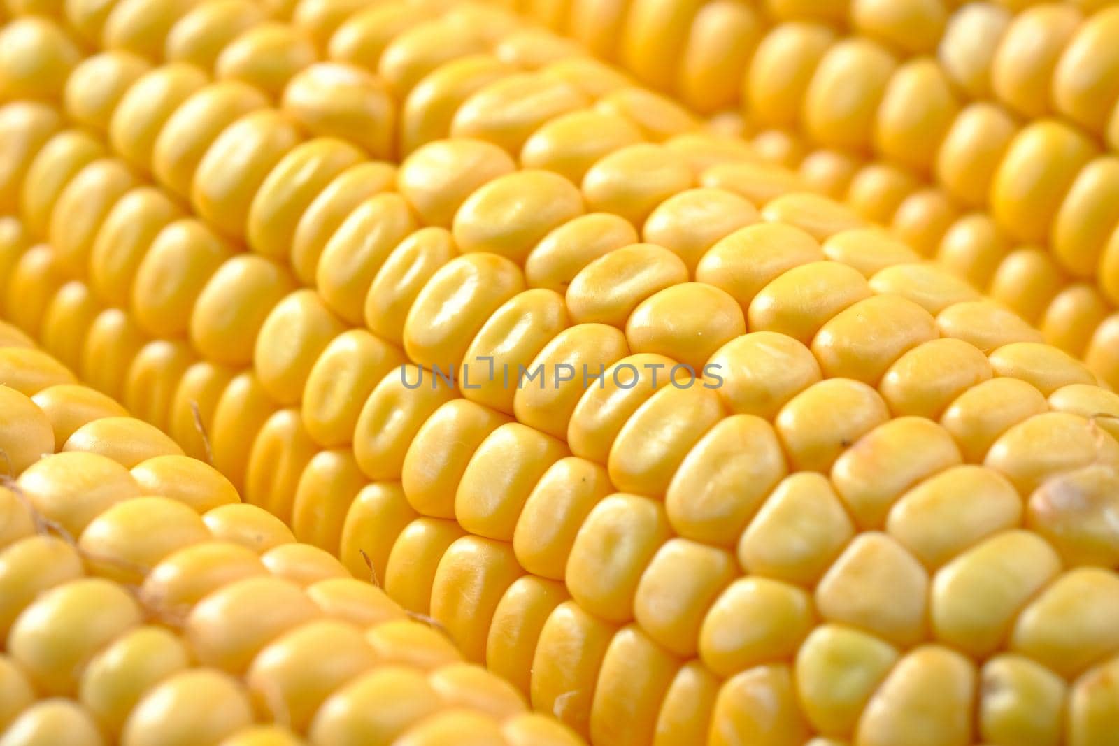 Sweet corns in a bowl on table