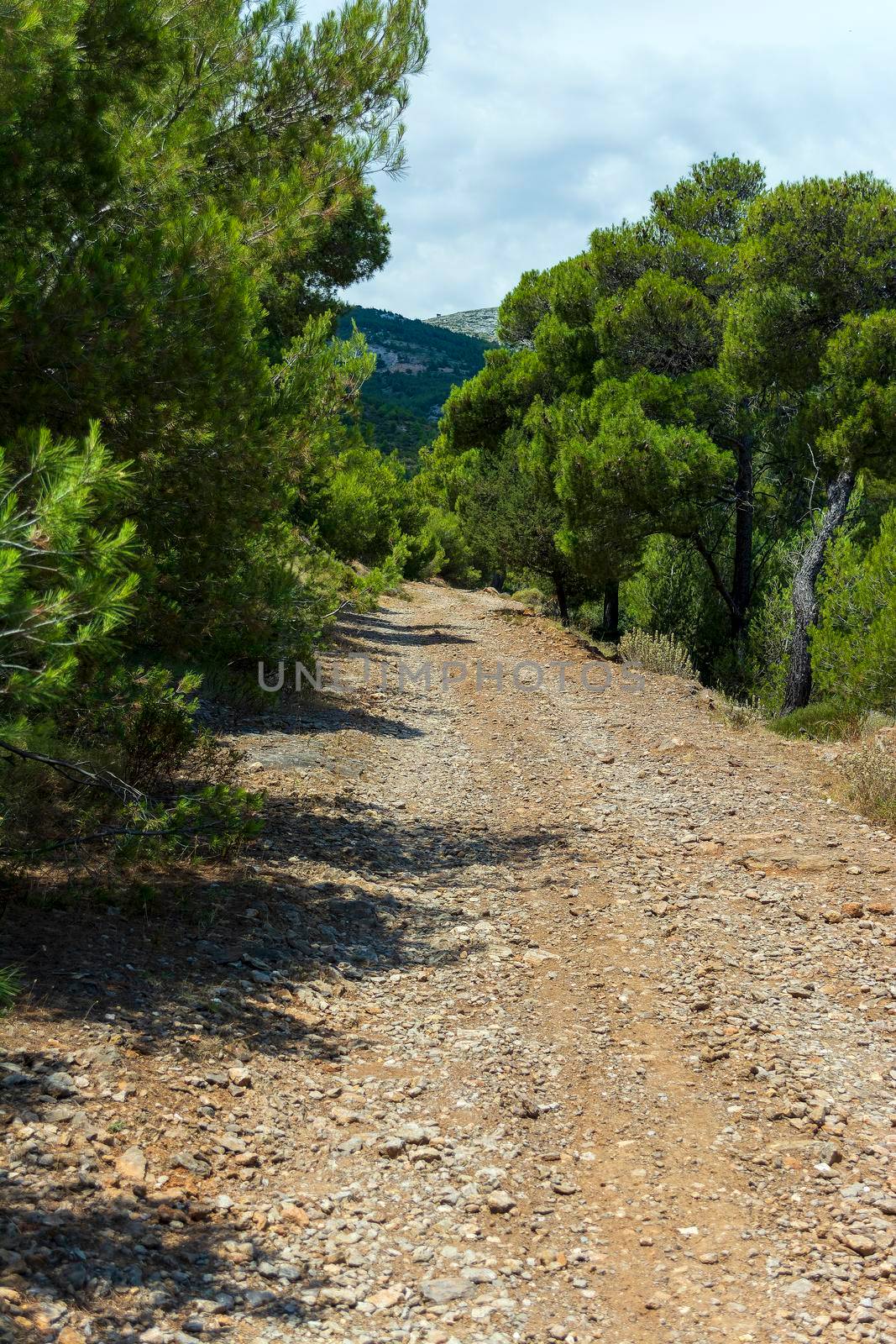 Penteli mountain country road at Athens, Greece
