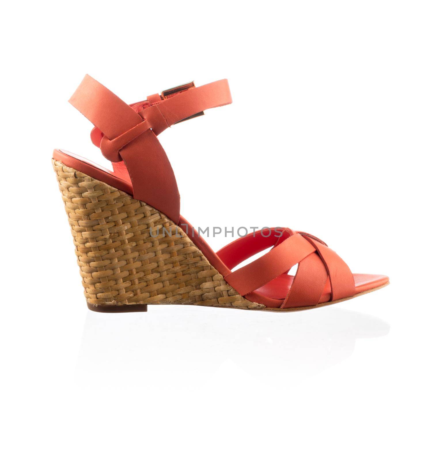 Modern fashionable women shoe shot in studio