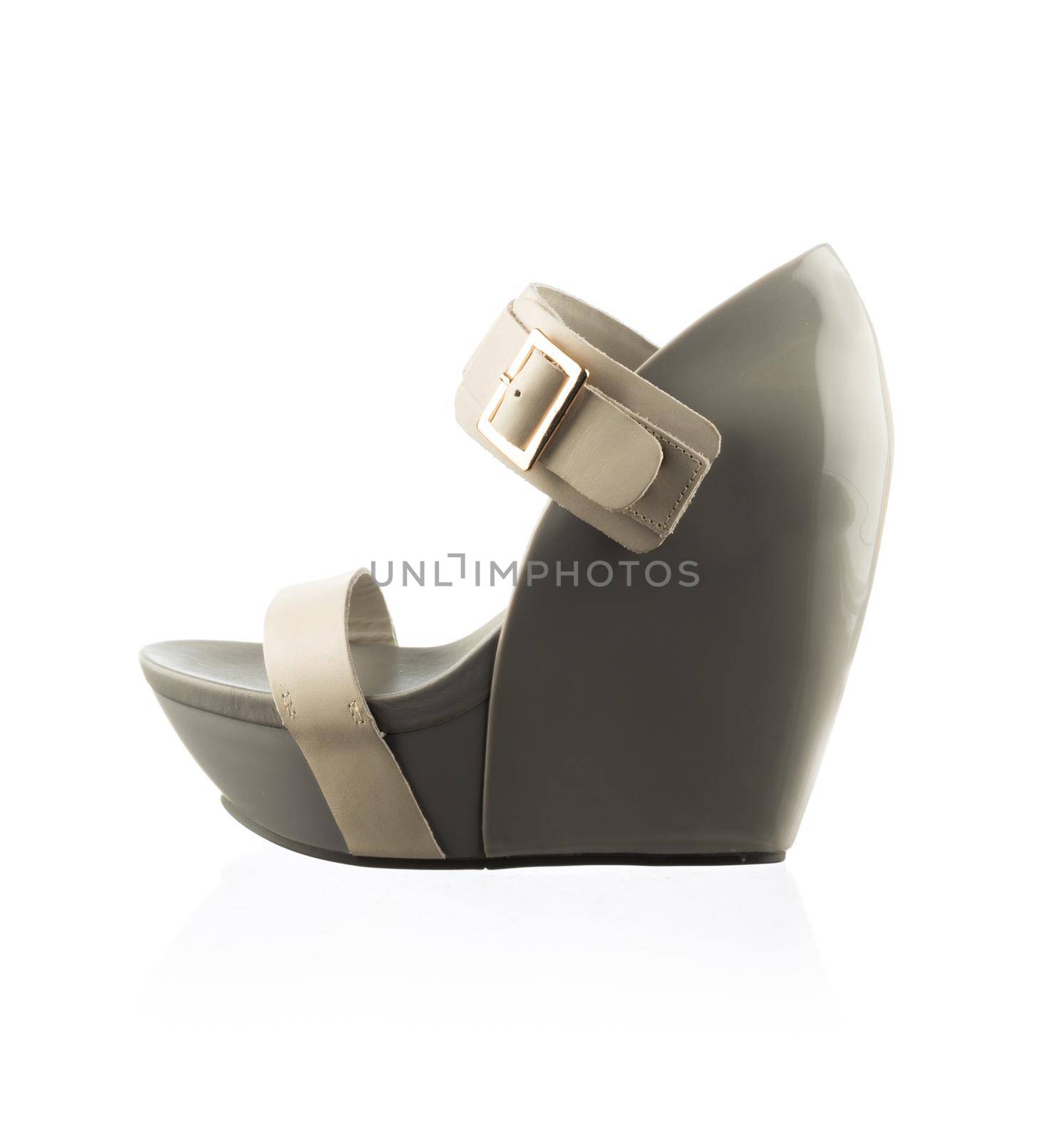 Modern fashionable women shoe shot in studio