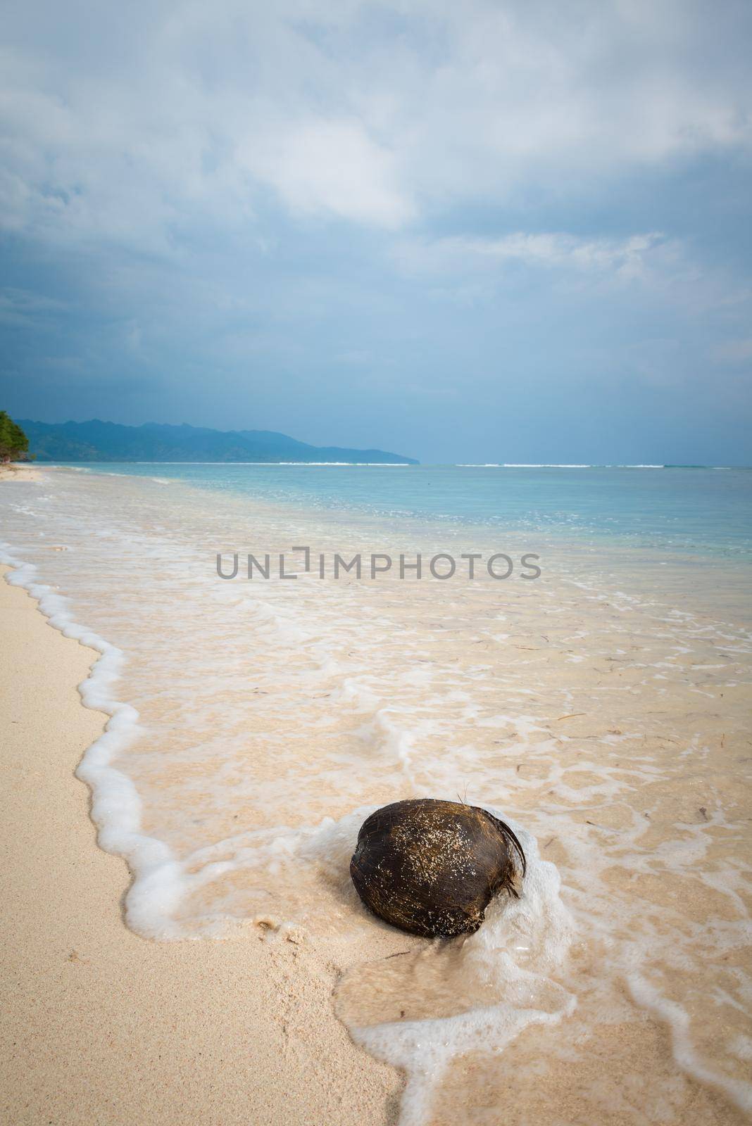 Coconut on the beach at exotic indonesian pacific island location