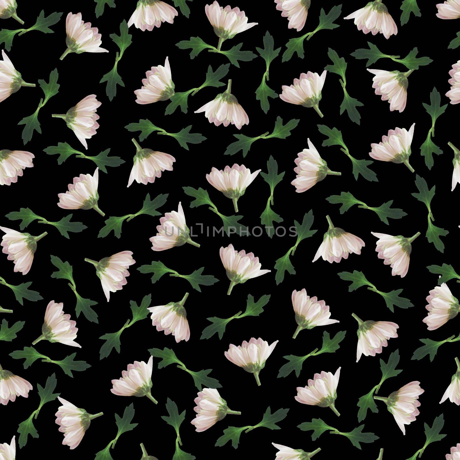 Photo and Digital Seamless Pattern with Nature Chrysanthemums Flowers. Digital Mixed Media Artwork. Endless Motif for Textile Decor and Design.