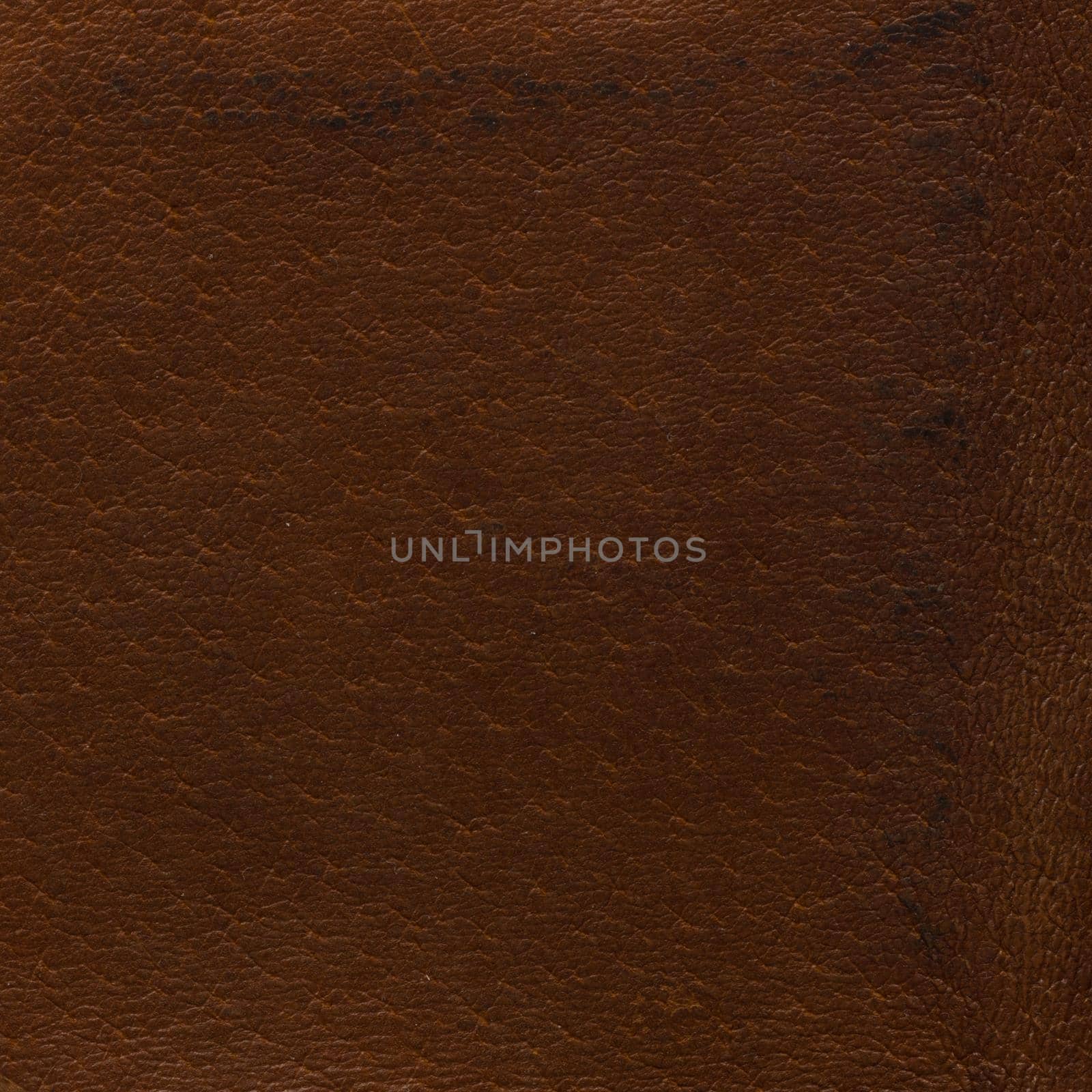 Brown leather texture macro shot - useful as background
