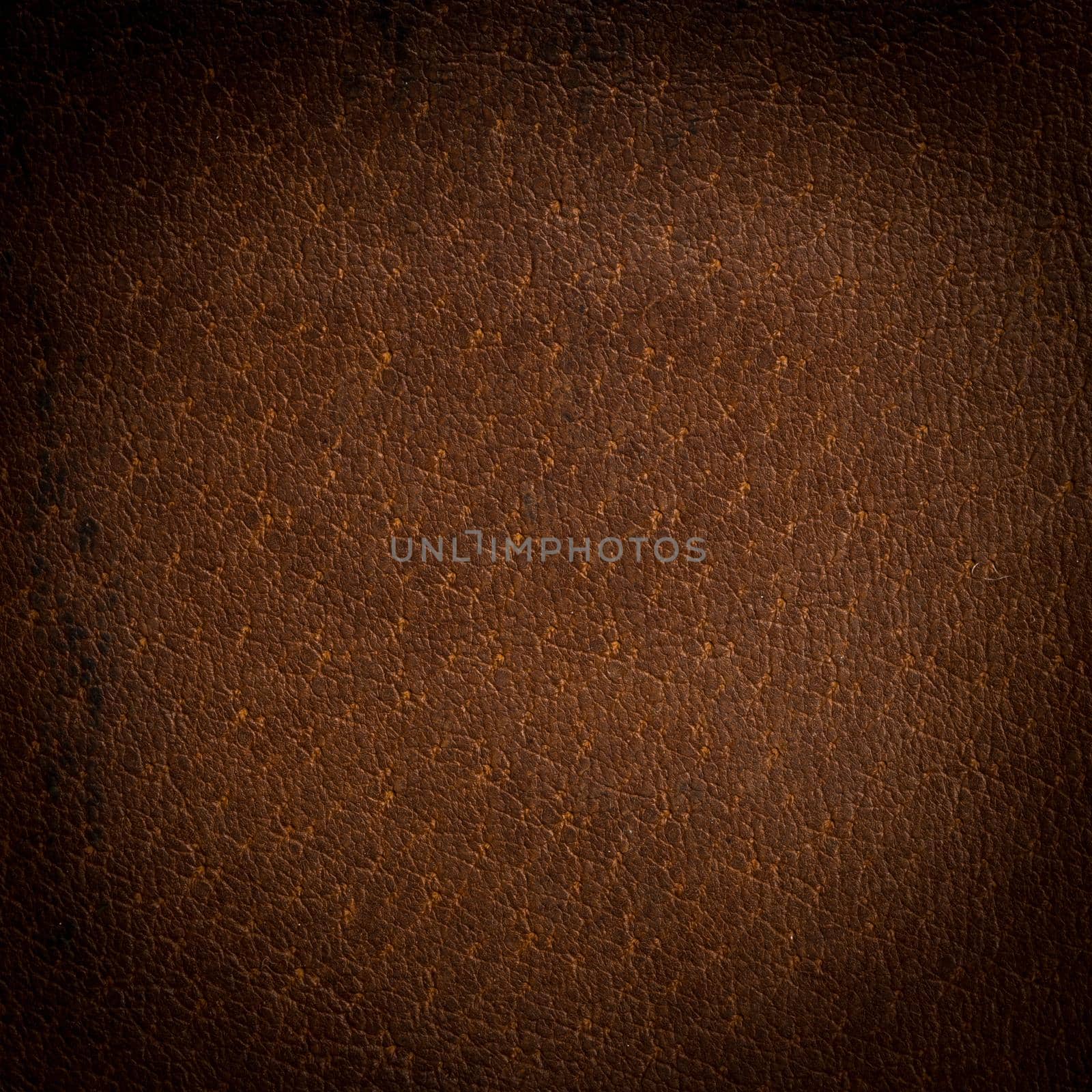 Brown leather texture macro shot - useful as background