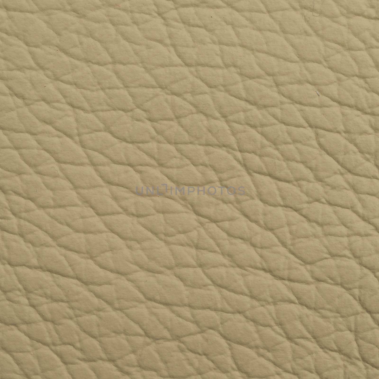 Leather texture for background by nikitabuida