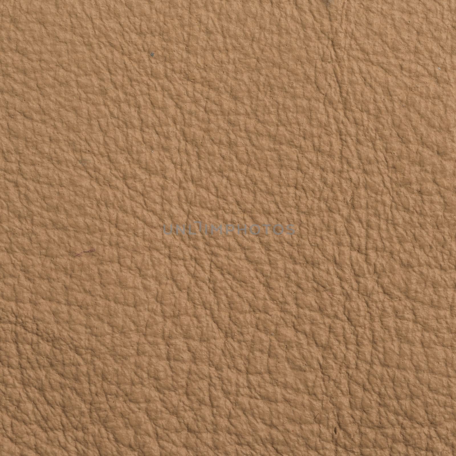 Leather texture for background by nikitabuida