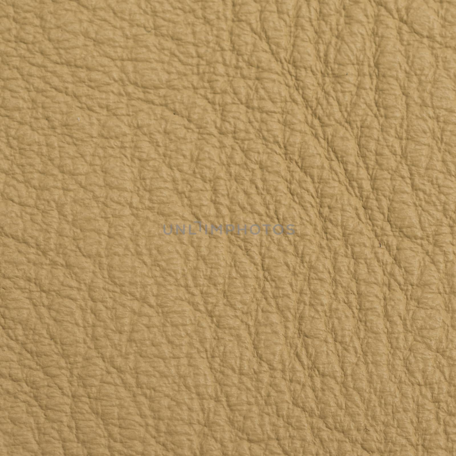 Leather texture for background by nikitabuida