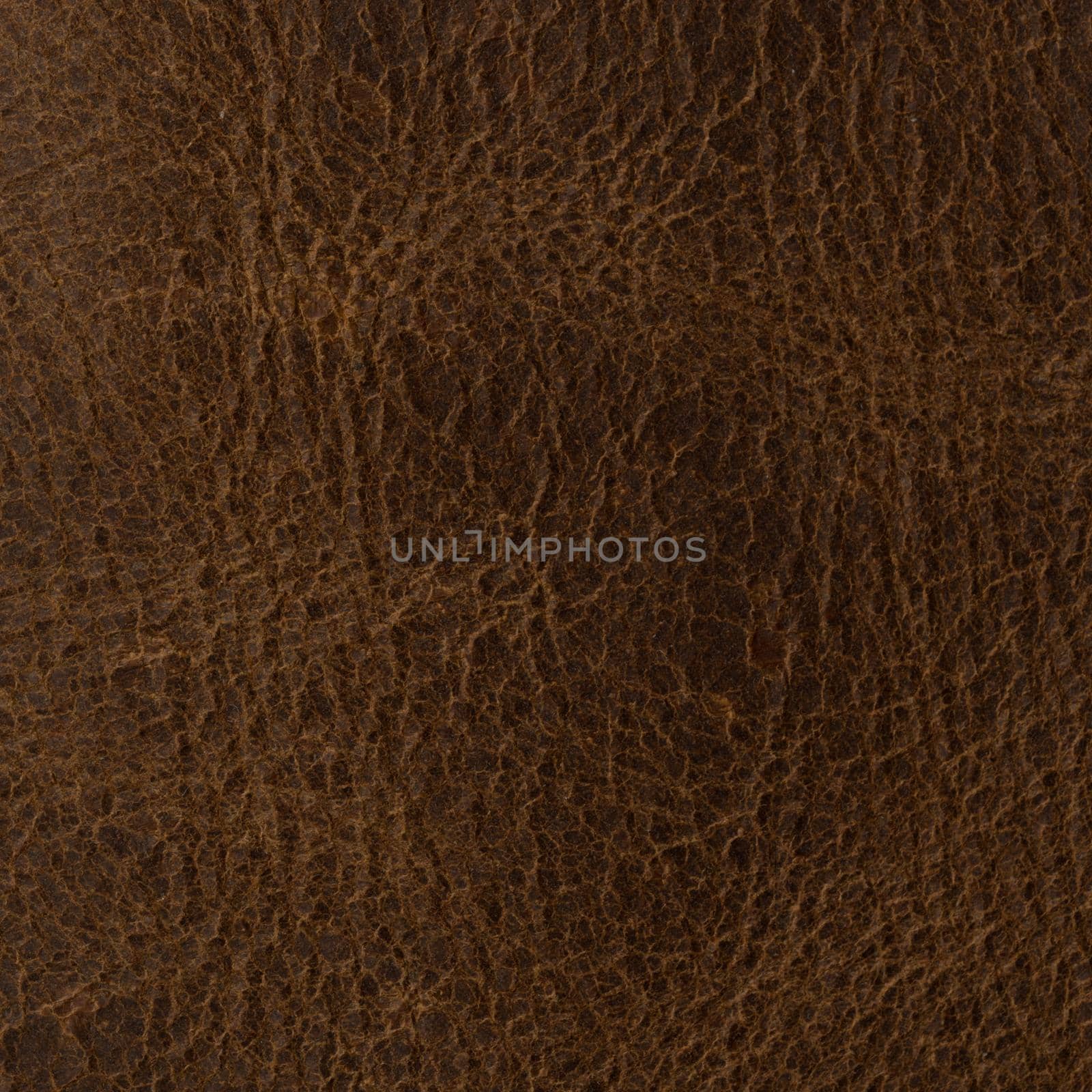 Leather texture closeup macro shot for background