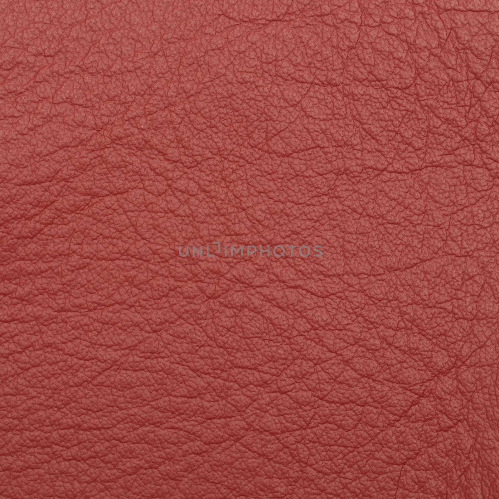 leather macro shot texture for background