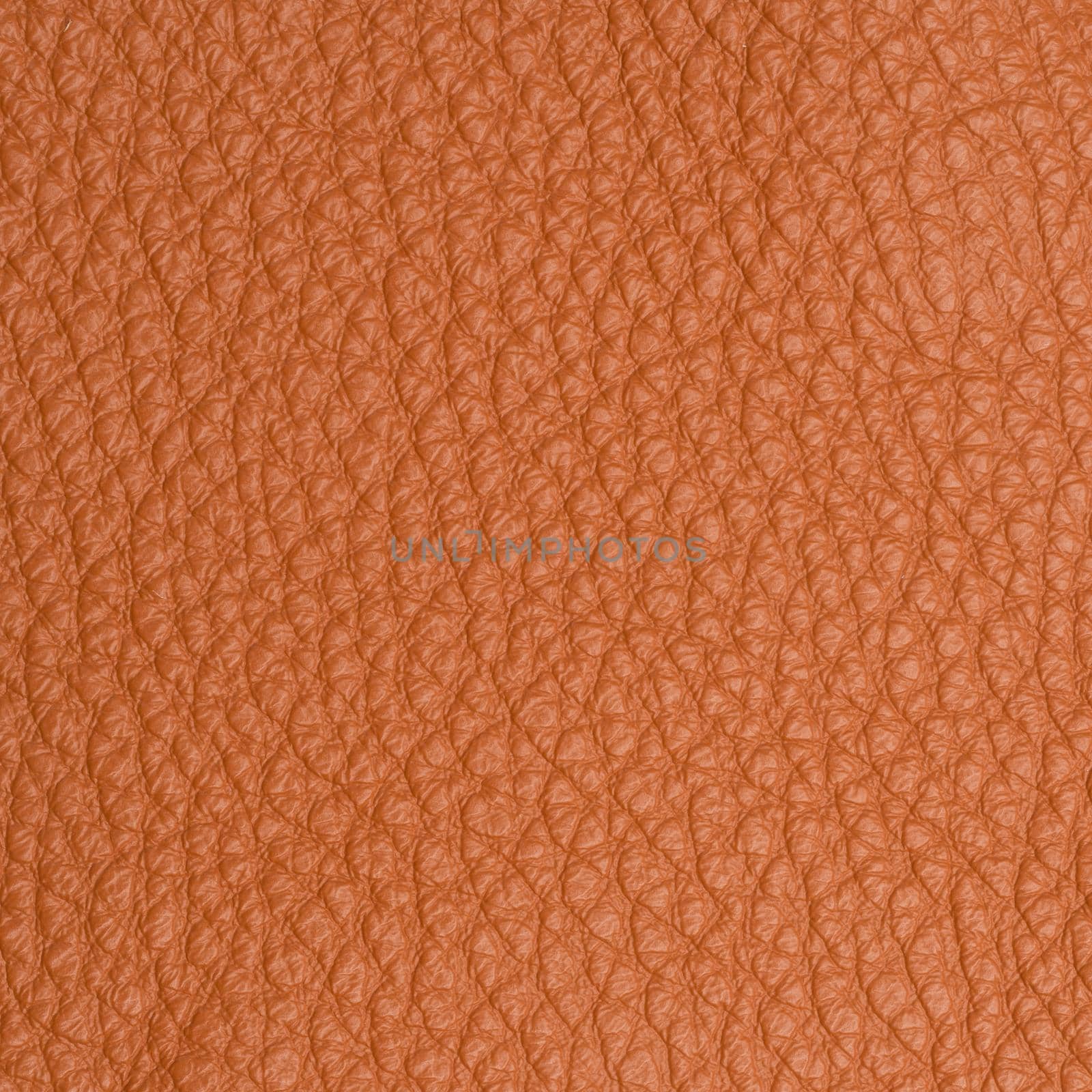 leather macro shot texture for background