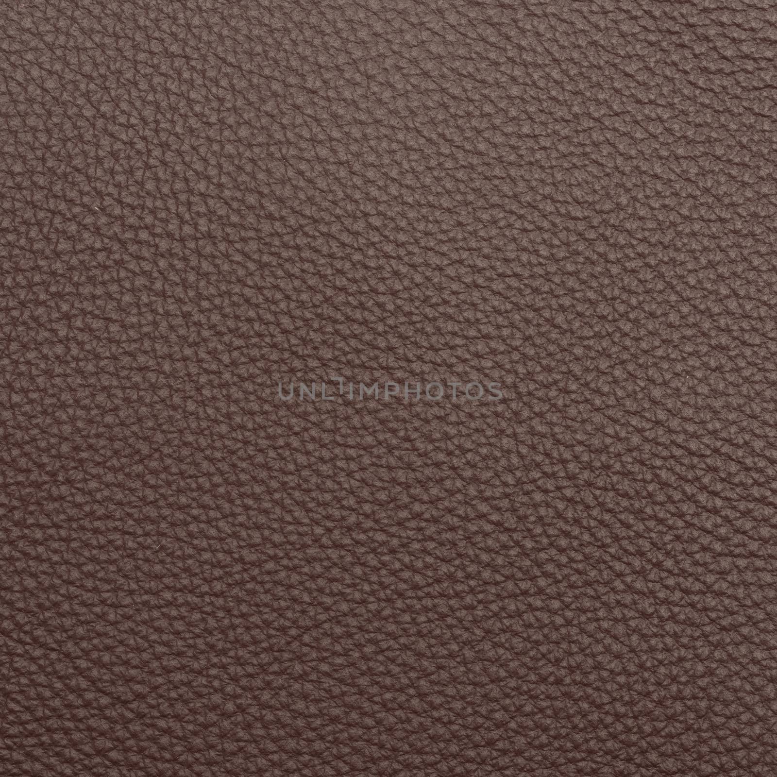 leather macro shot texture for background