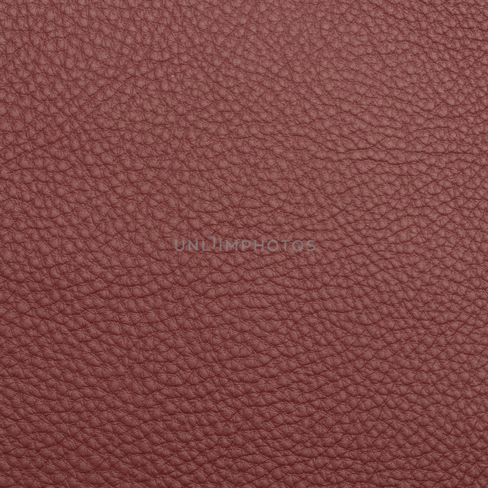 leather macro shot texture for background