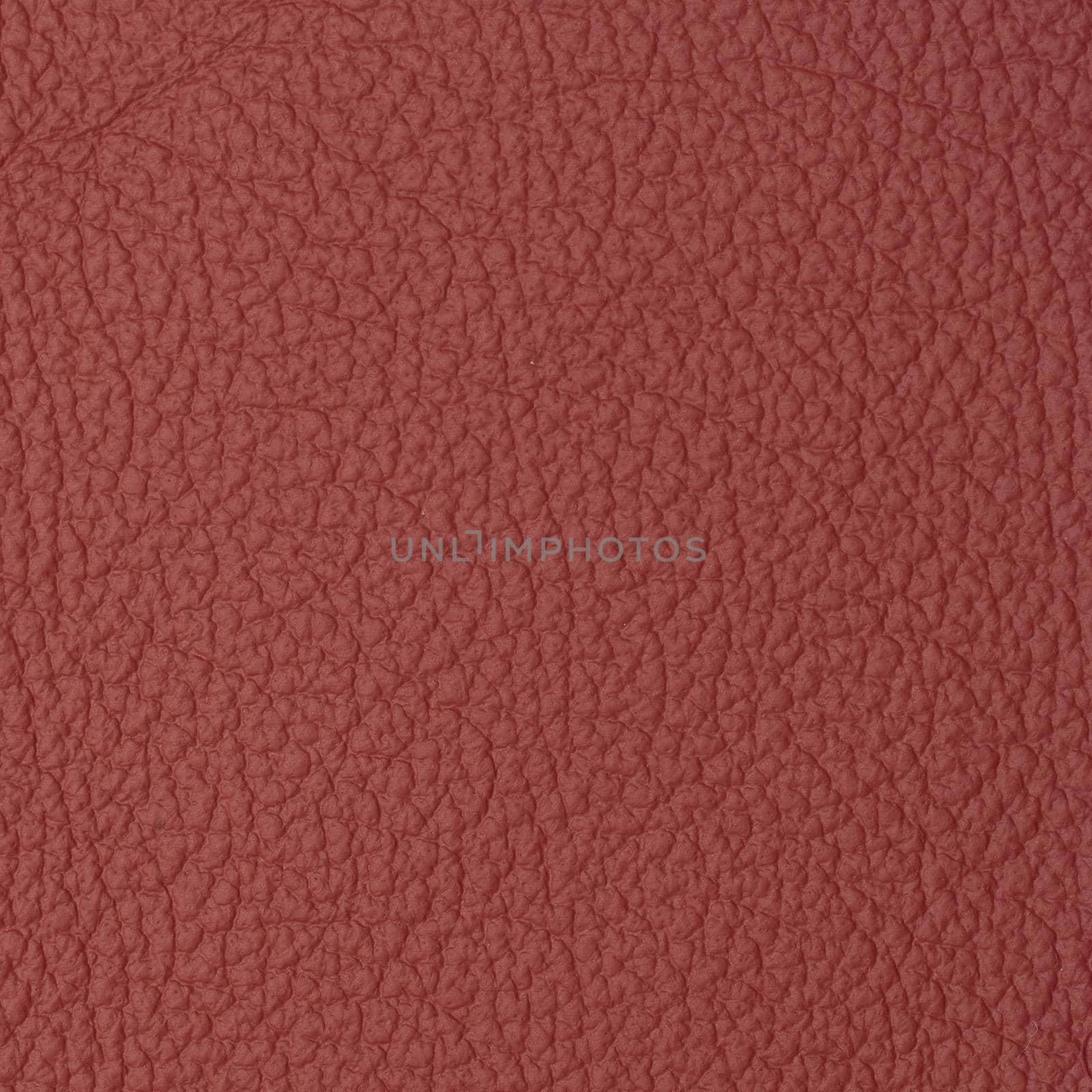 leather macro shot texture for background